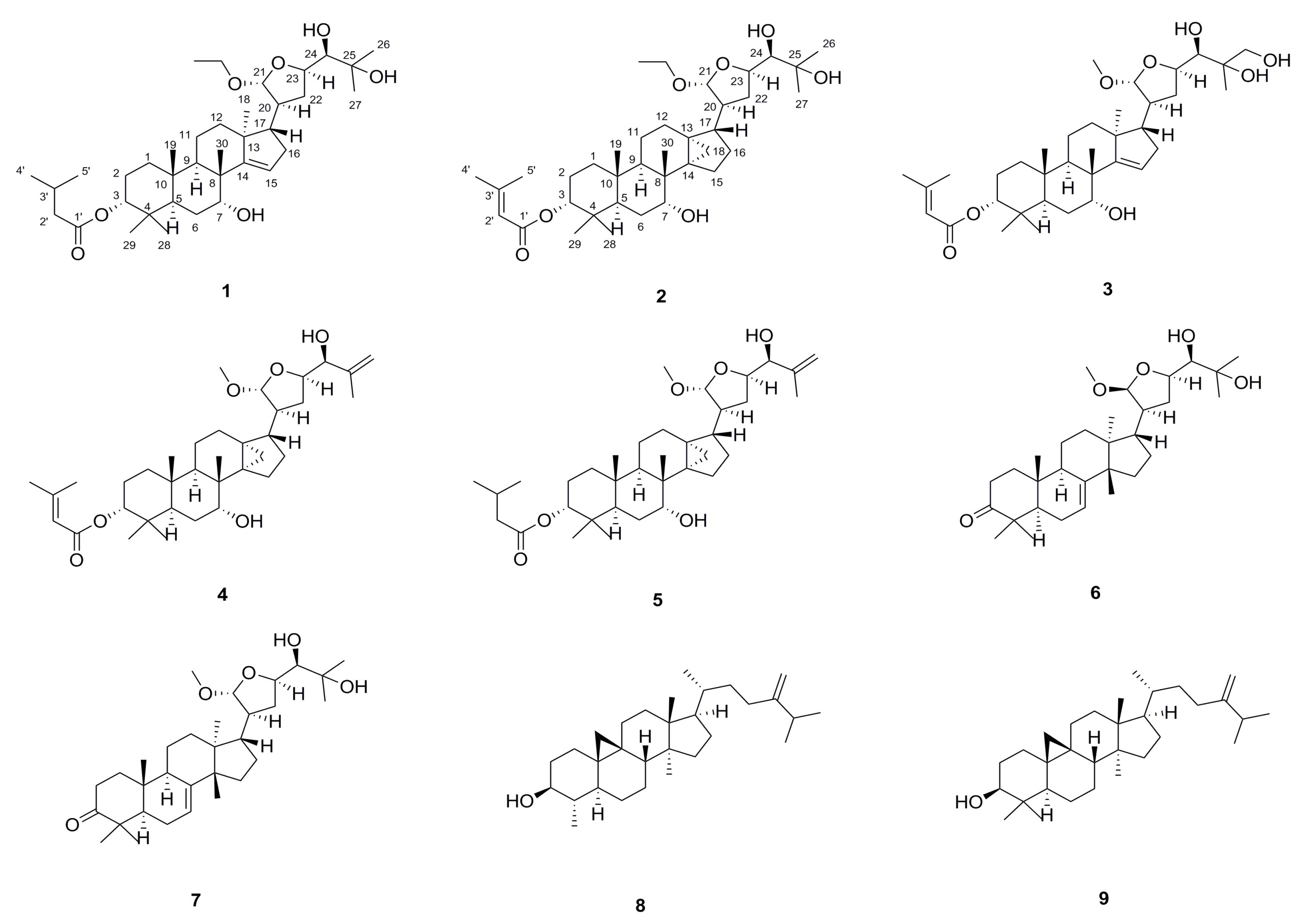 Molecules 25 00801 g001 Molecules 25 00801 g001