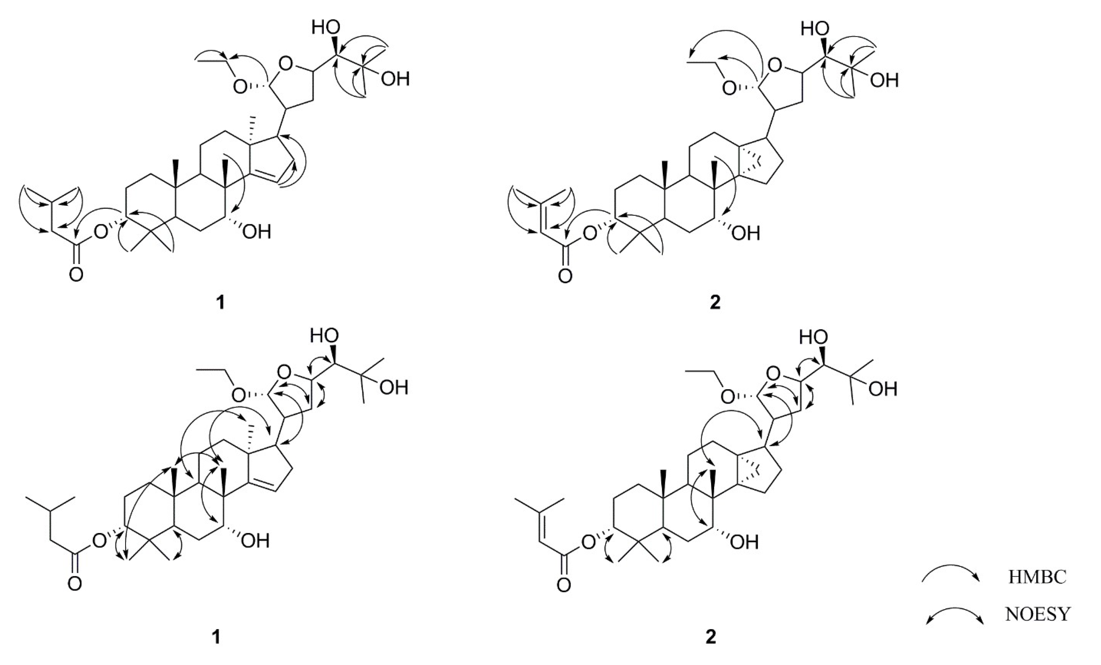 Molecules 25 00801 g002 Molecules 25 00801 g002