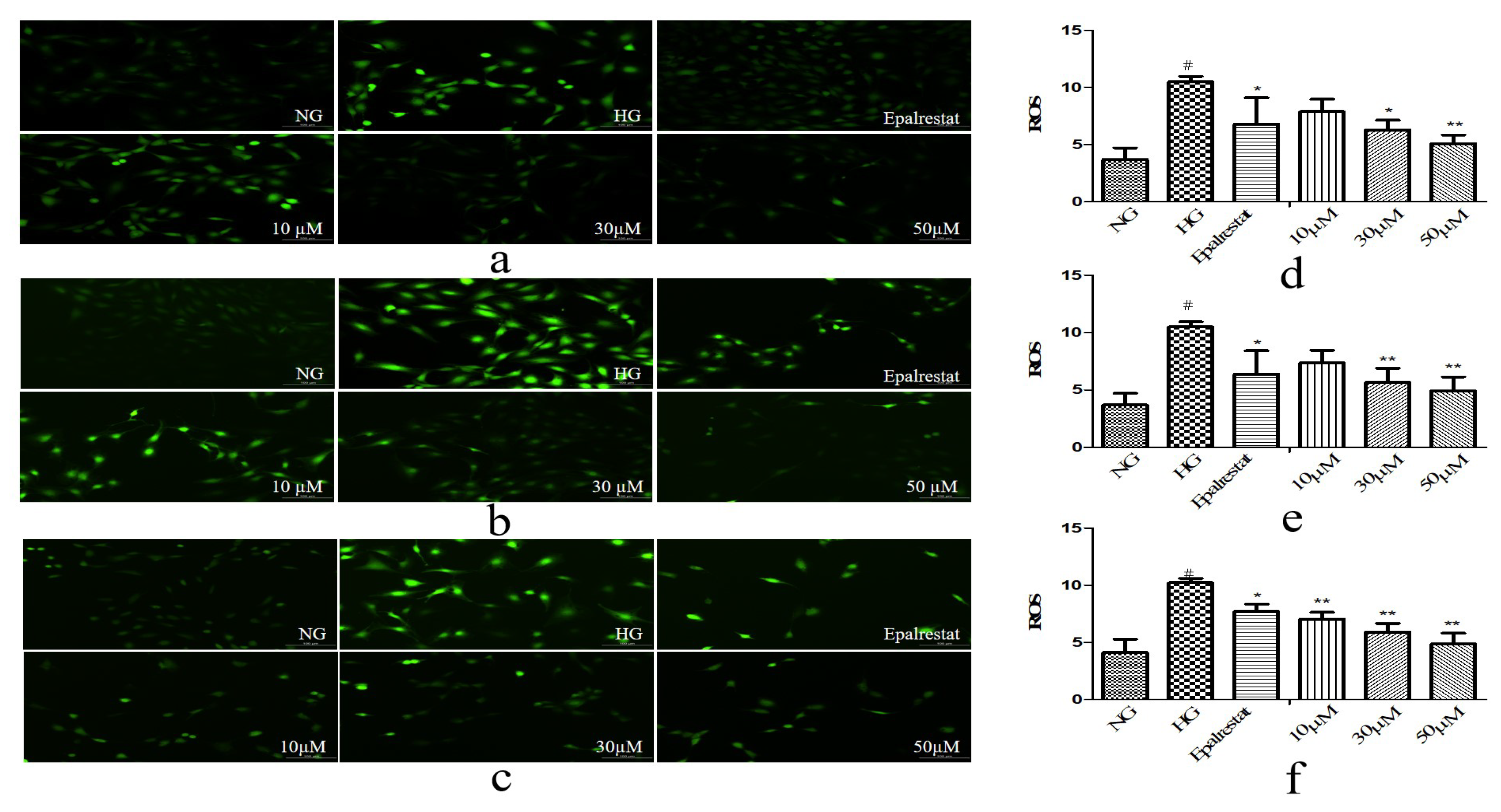 Molecules 25 00801 g006 Molecules 25 00801 g006