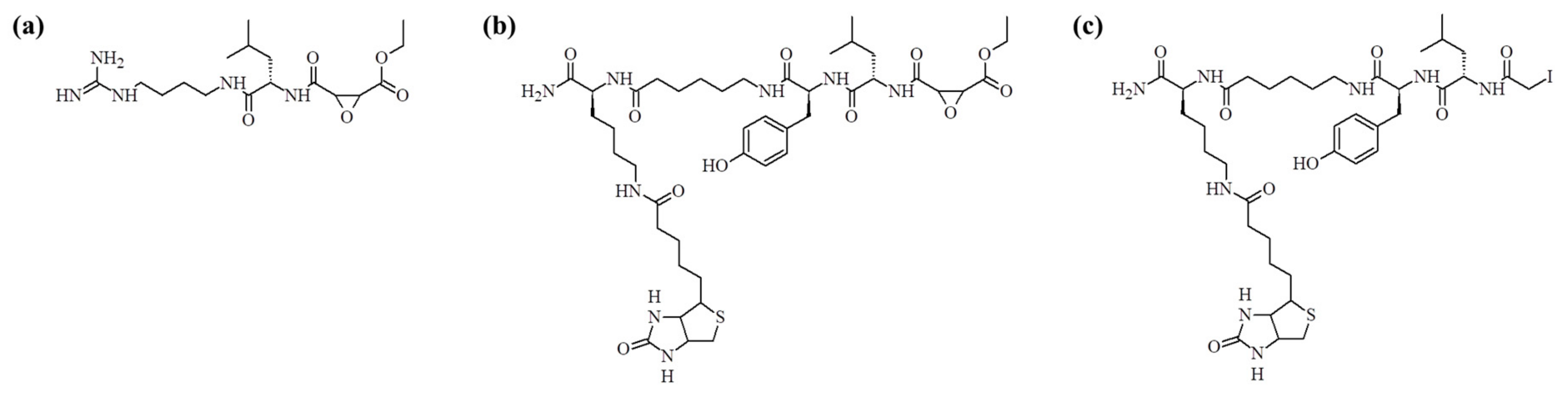 Molecules 25 00813 g001