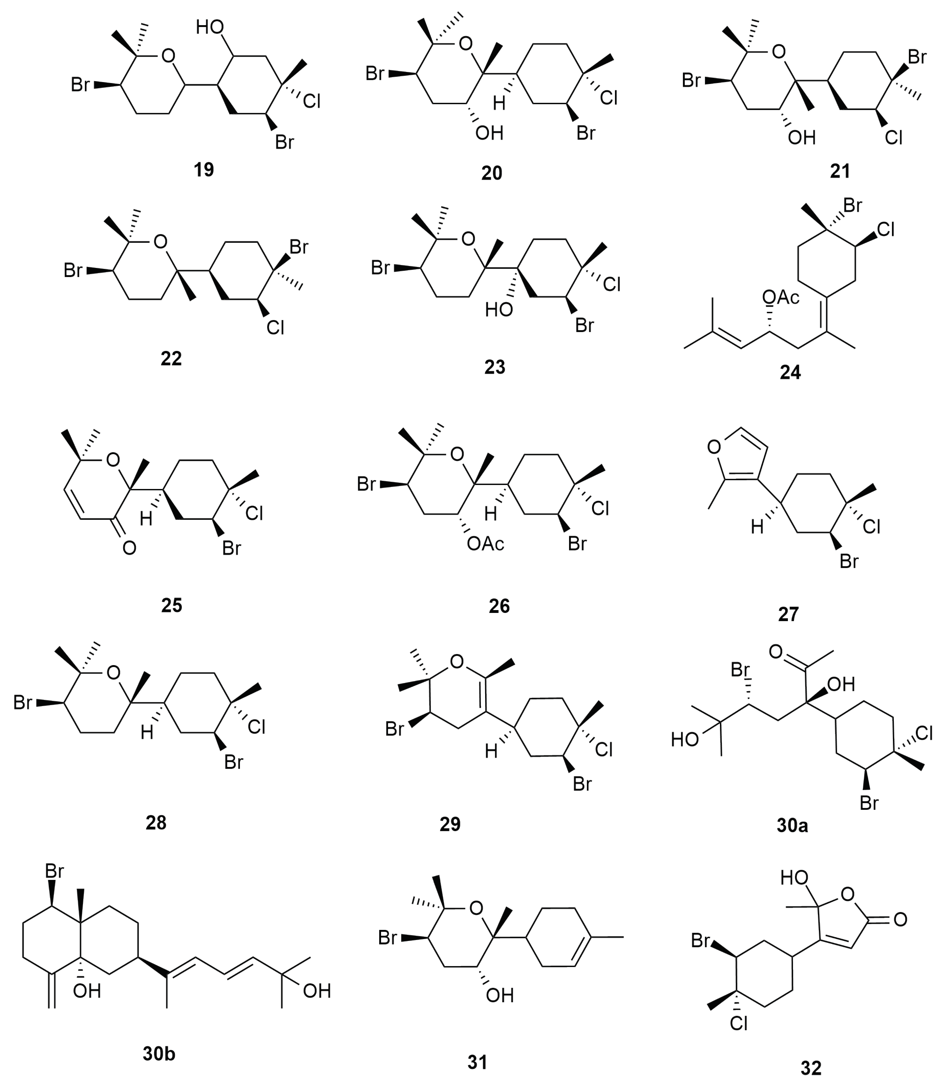 Molecules 25 00815 g004