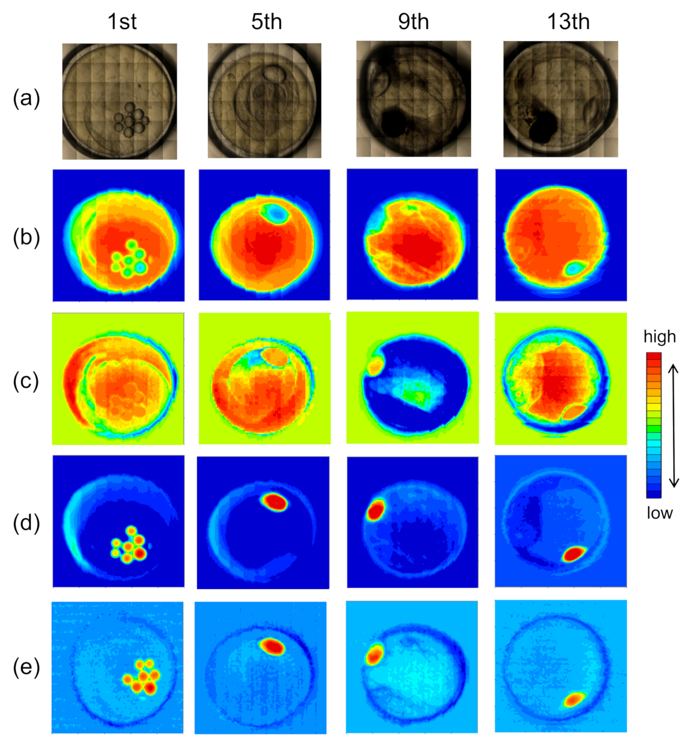 Molecules 25 00817 g001