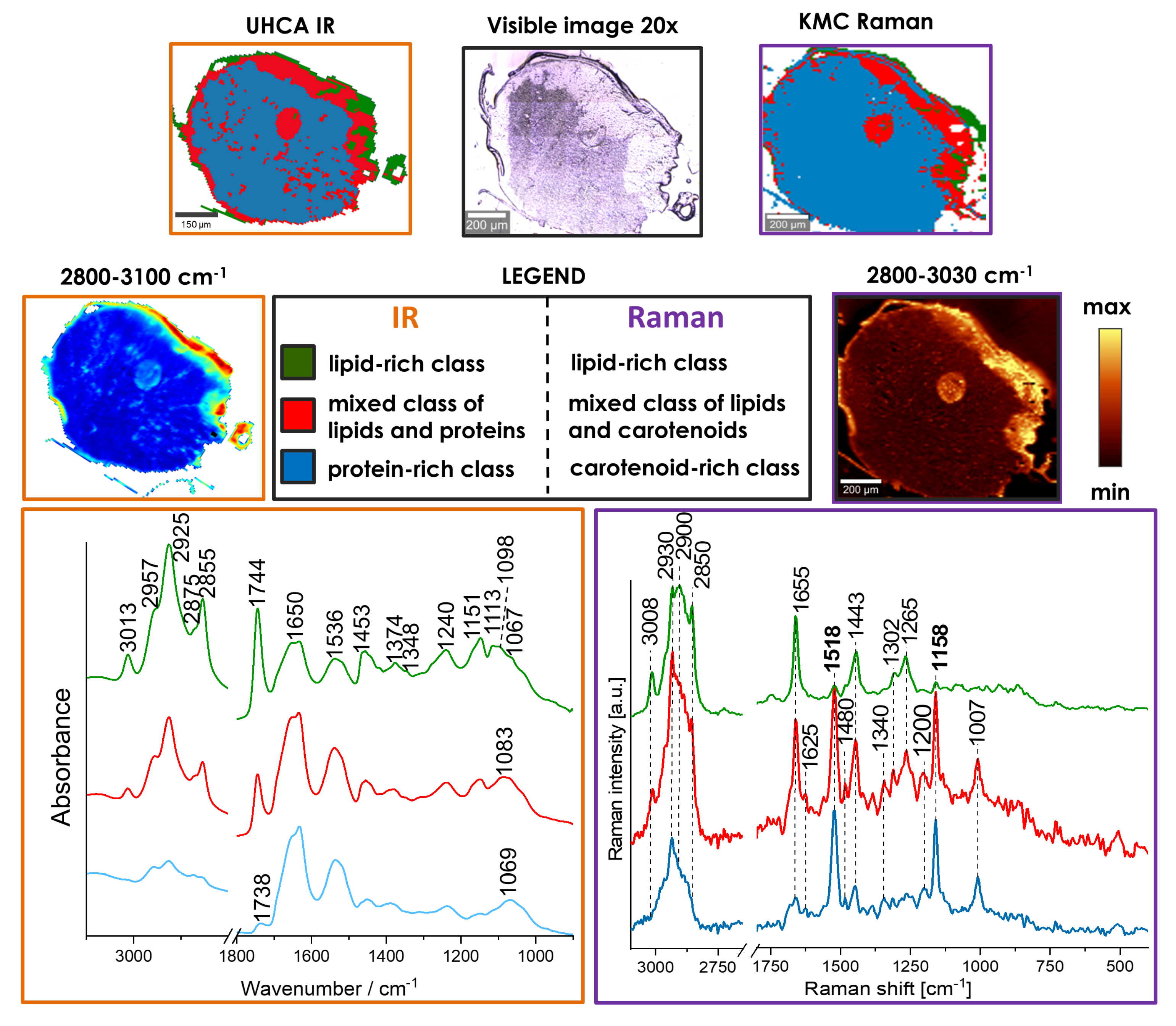 Molecules 25 00817 g007