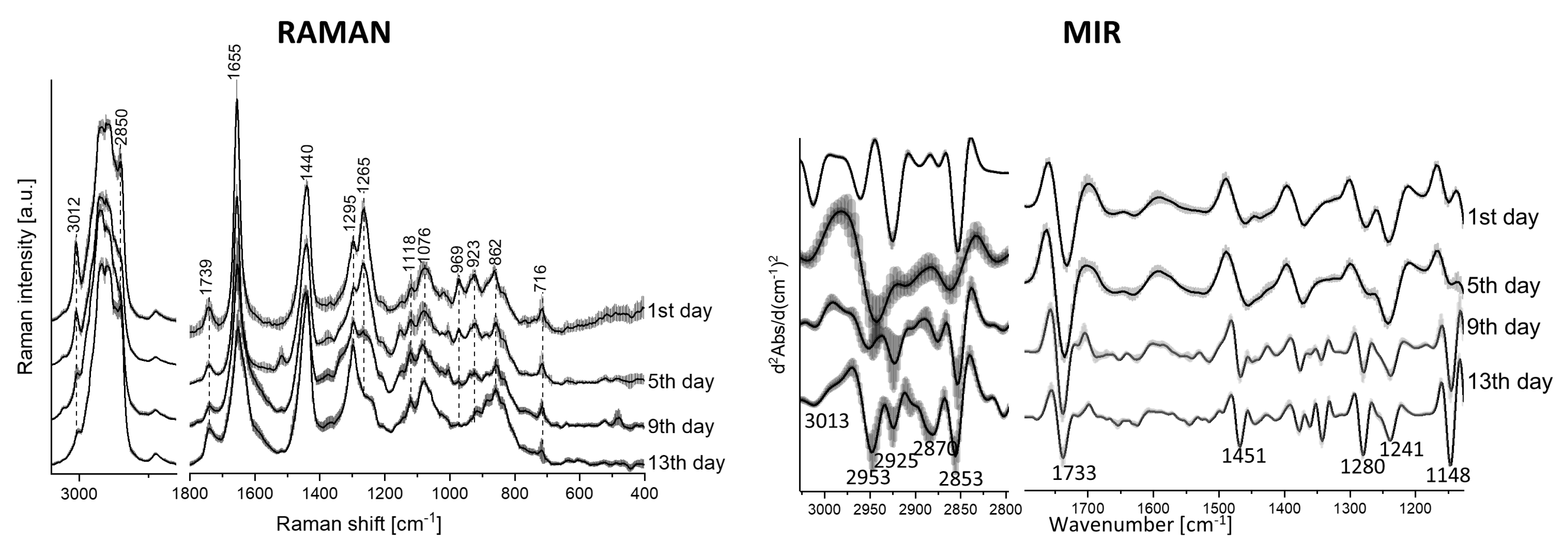 Molecules 25 00817 g008
