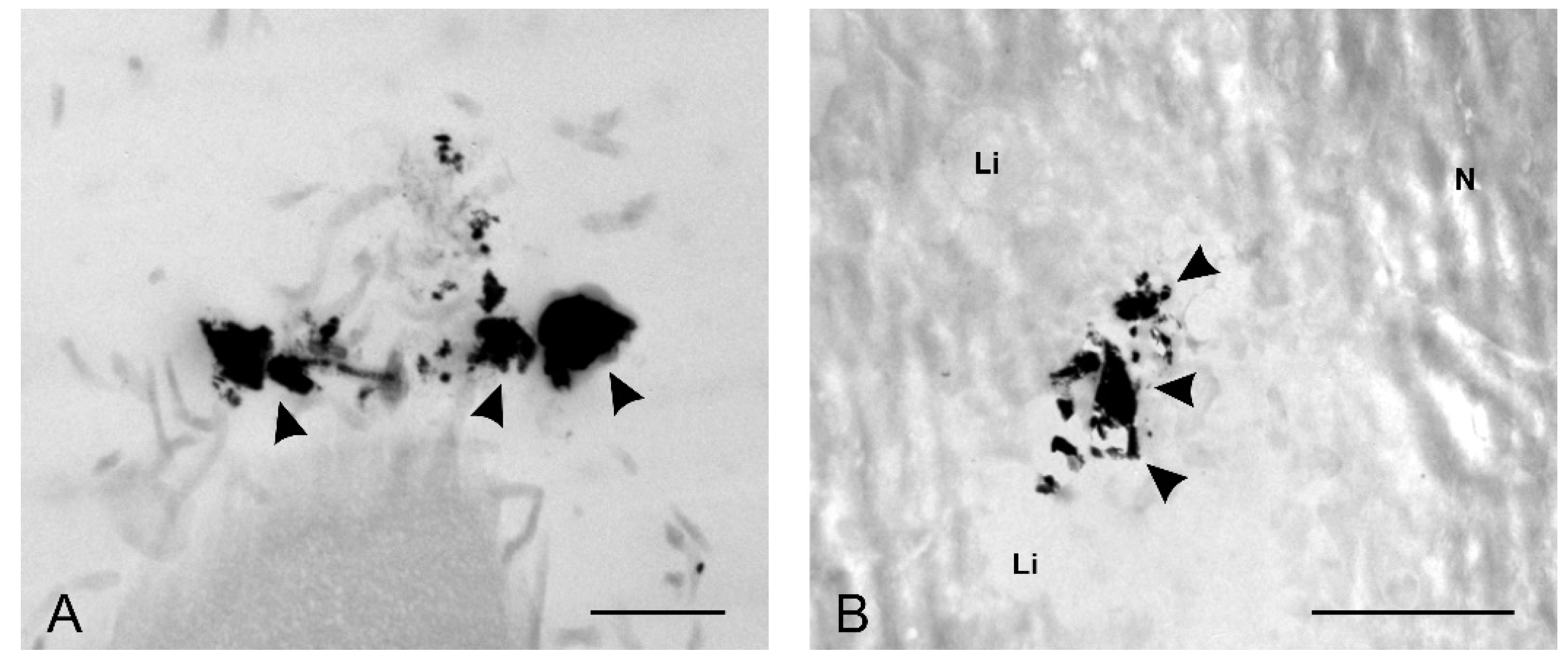 Molecules 25 00819 g009 Molecules 25 00819 g009