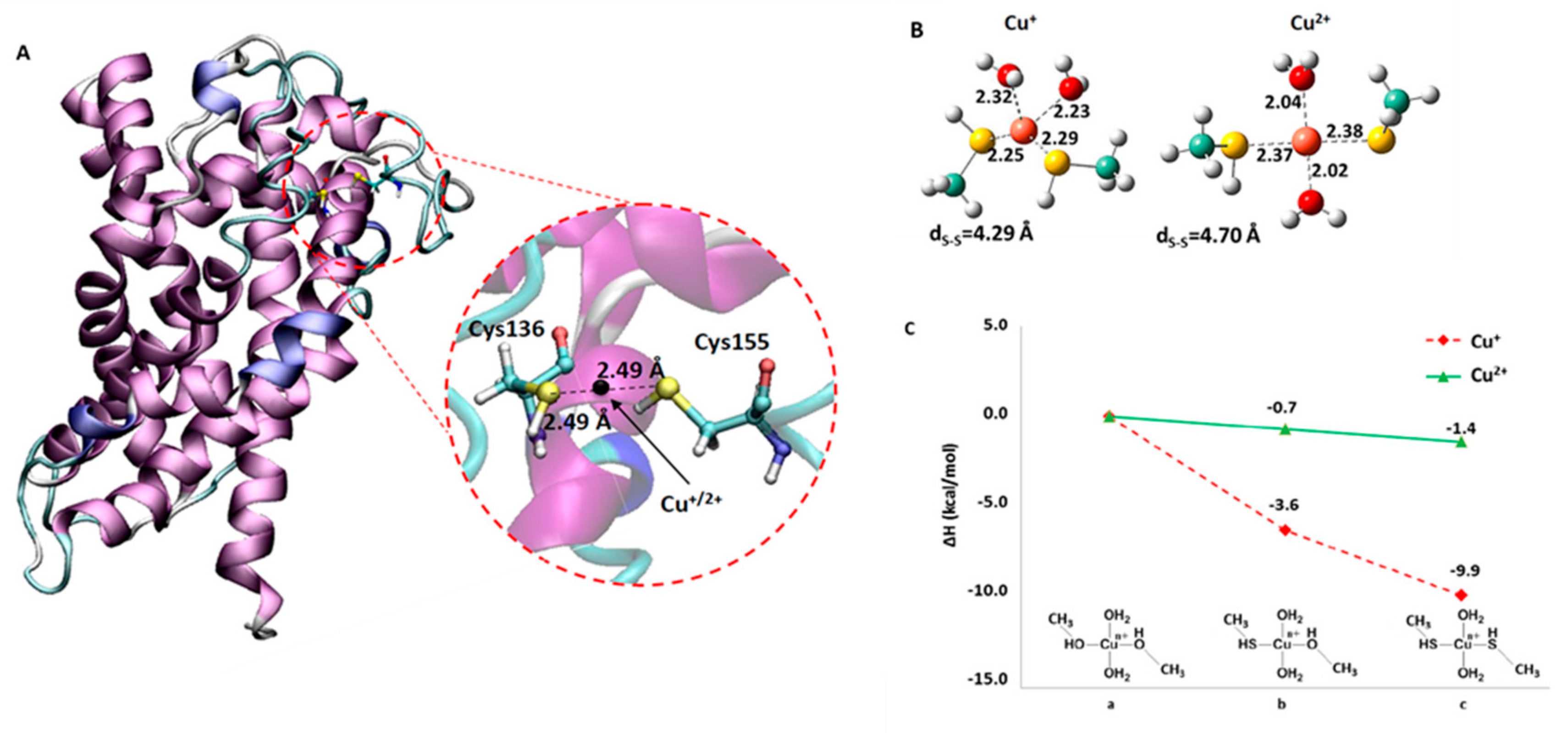 Molecules 25 00820 g007