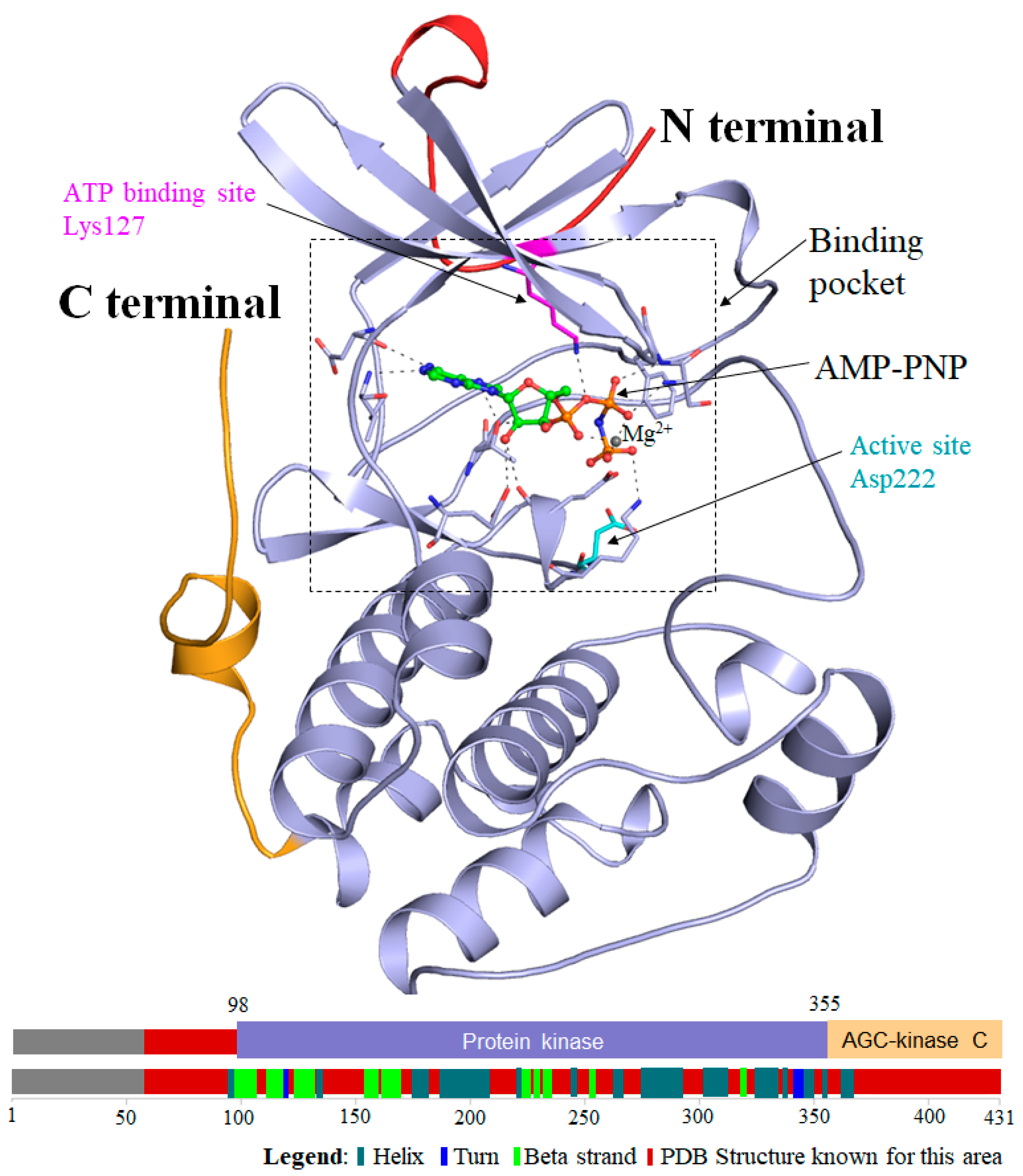 Molecules 25 00823 g001