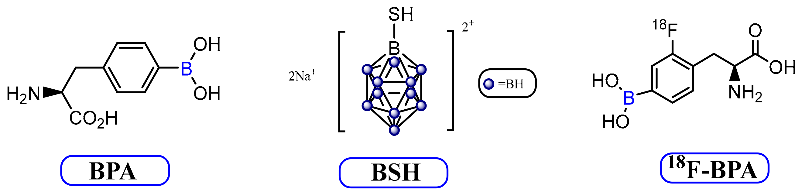 Molecules 25 00828 g003