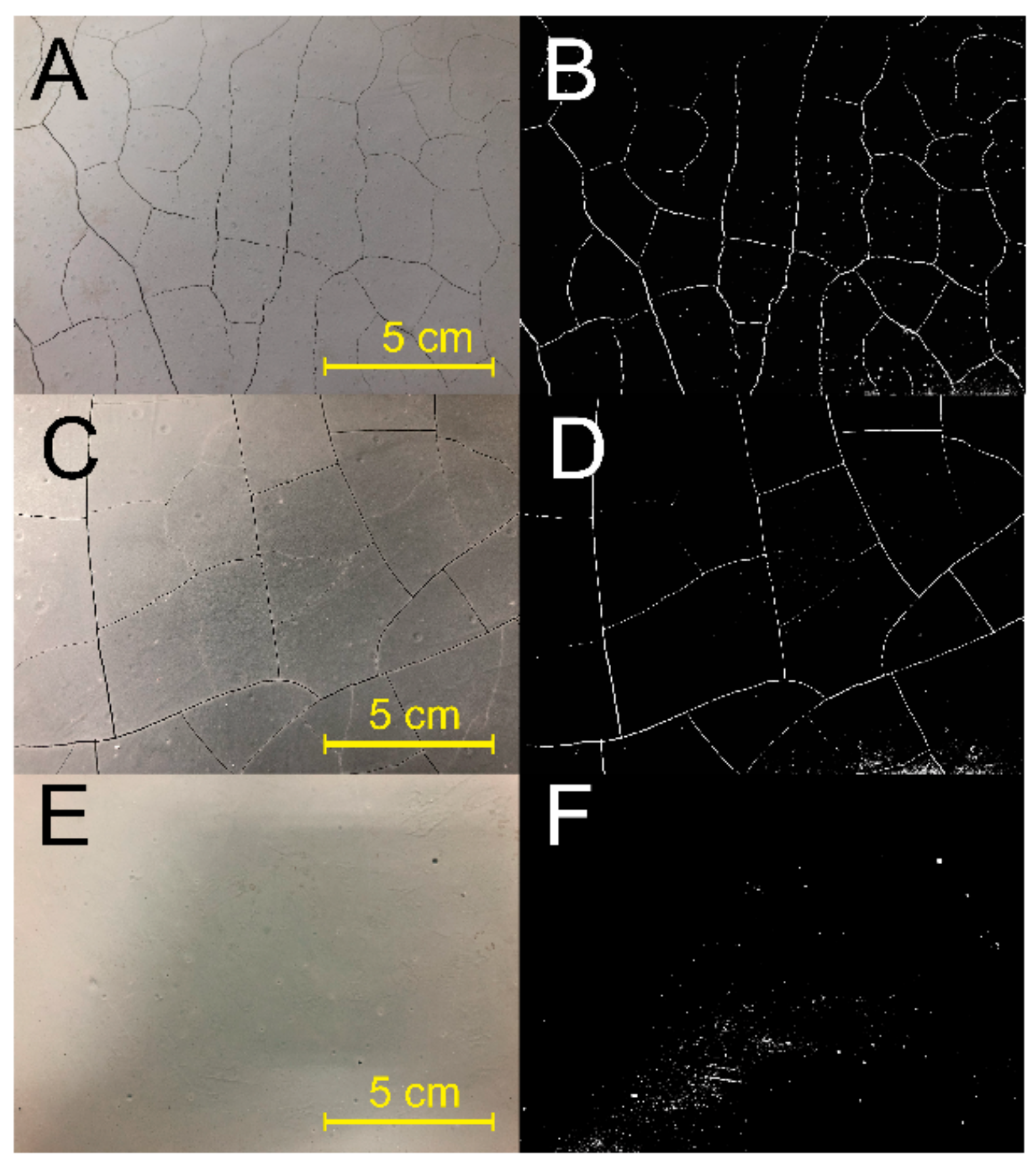 Molecules 25 00844 g008 Molecules 25 00844 g008