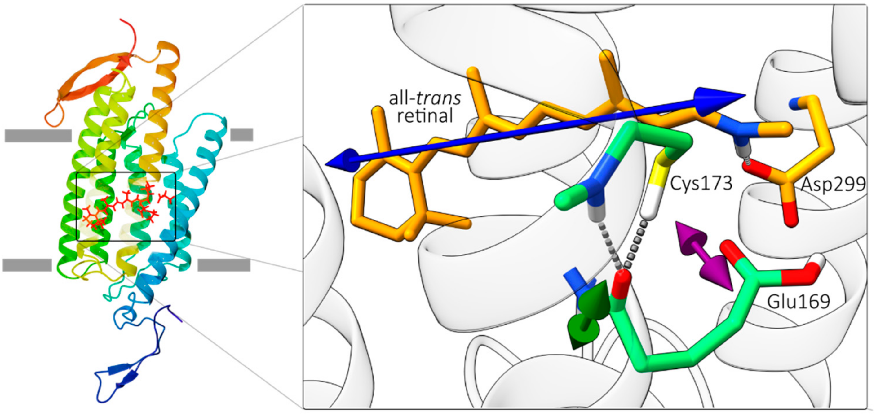 Molecules 25 00848 g001