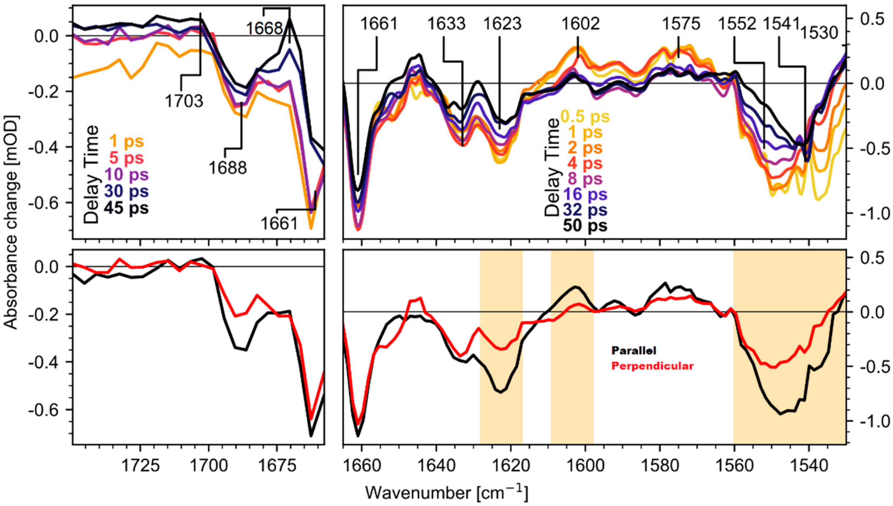 Molecules 25 00848 g002