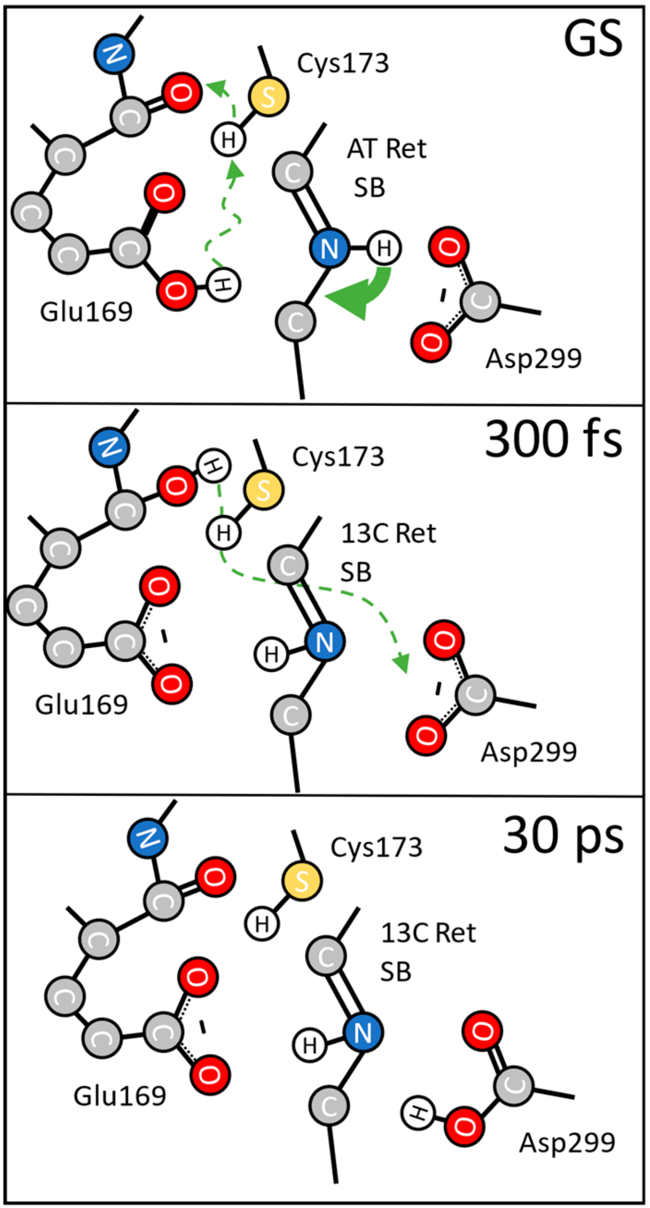 Molecules 25 00848 g005