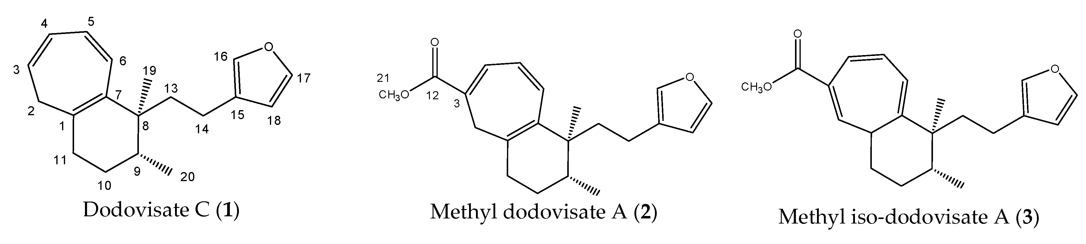Molecules 25 00850 g001