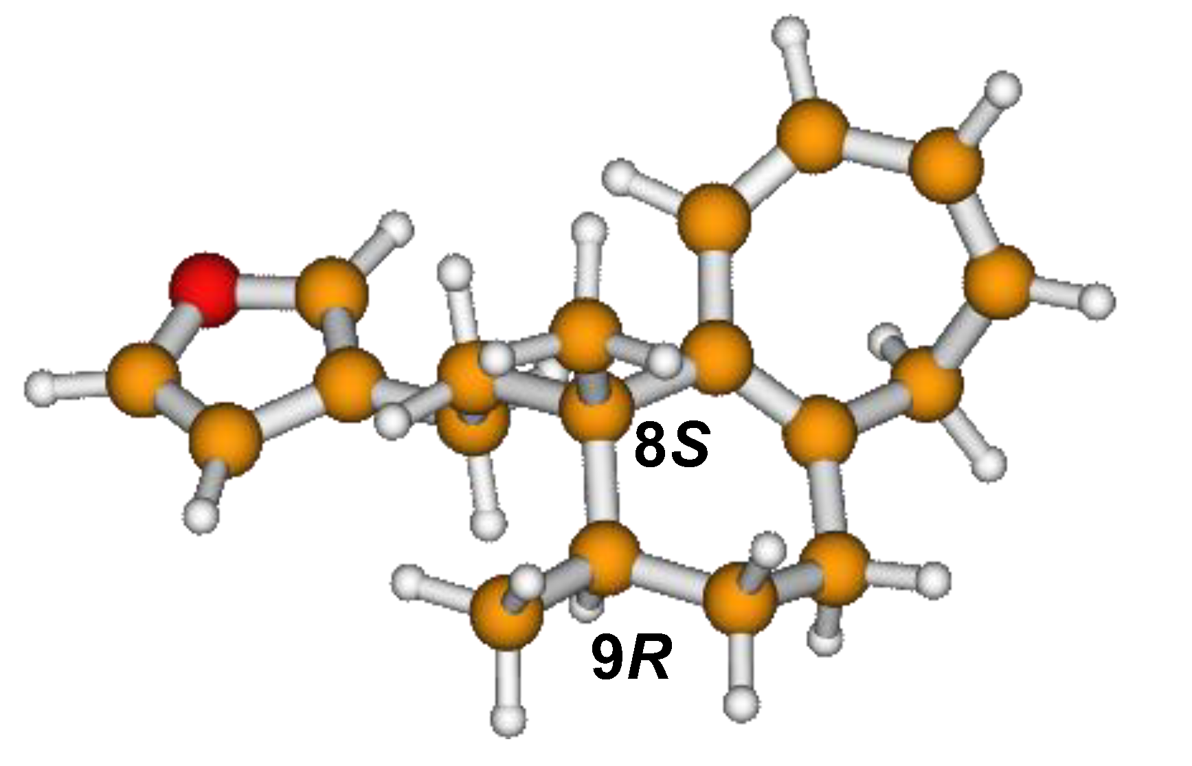 Molecules 25 00850 g006