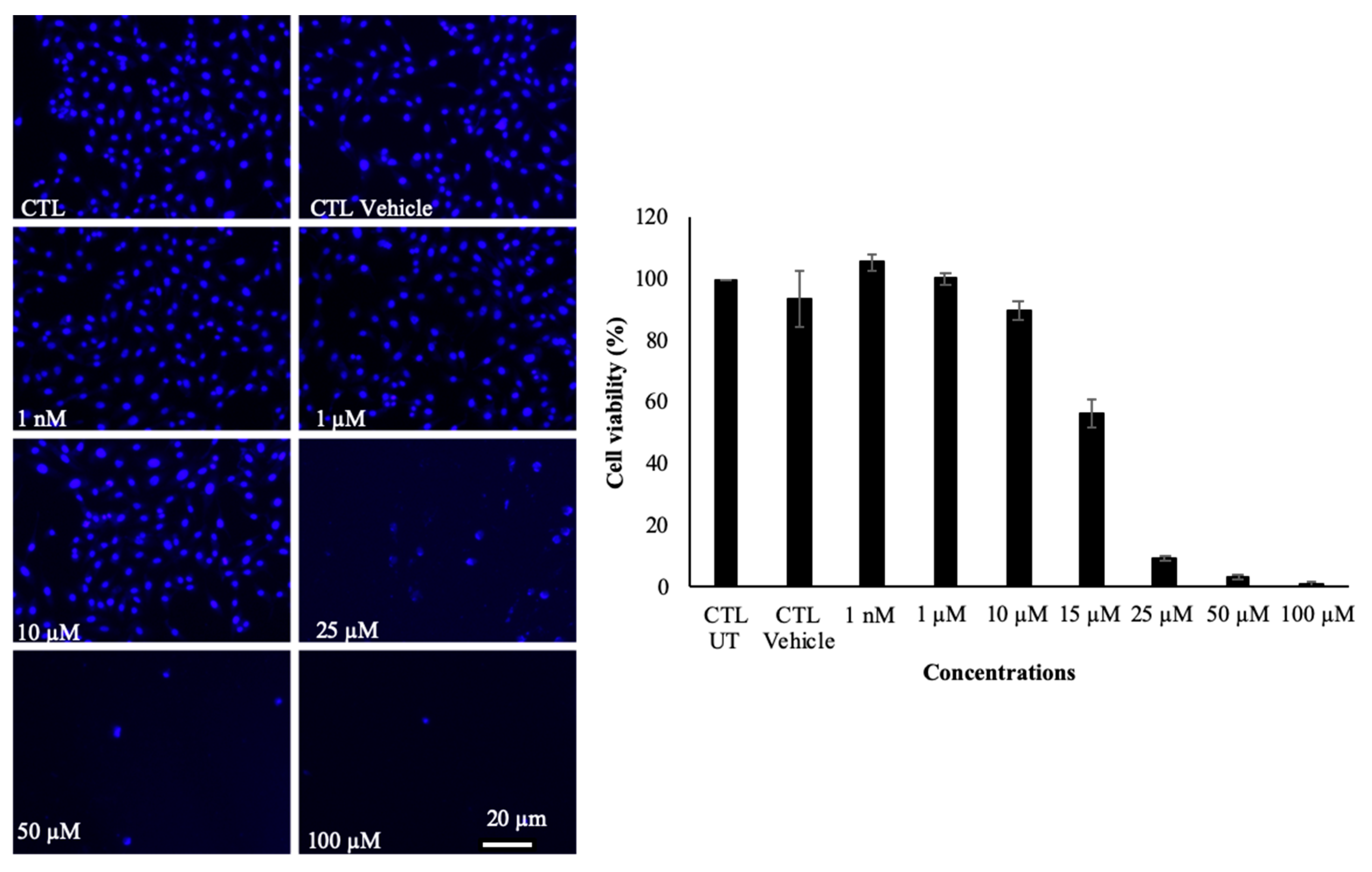 Molecules 25 00857 g004 Molecules 25 00857 g004