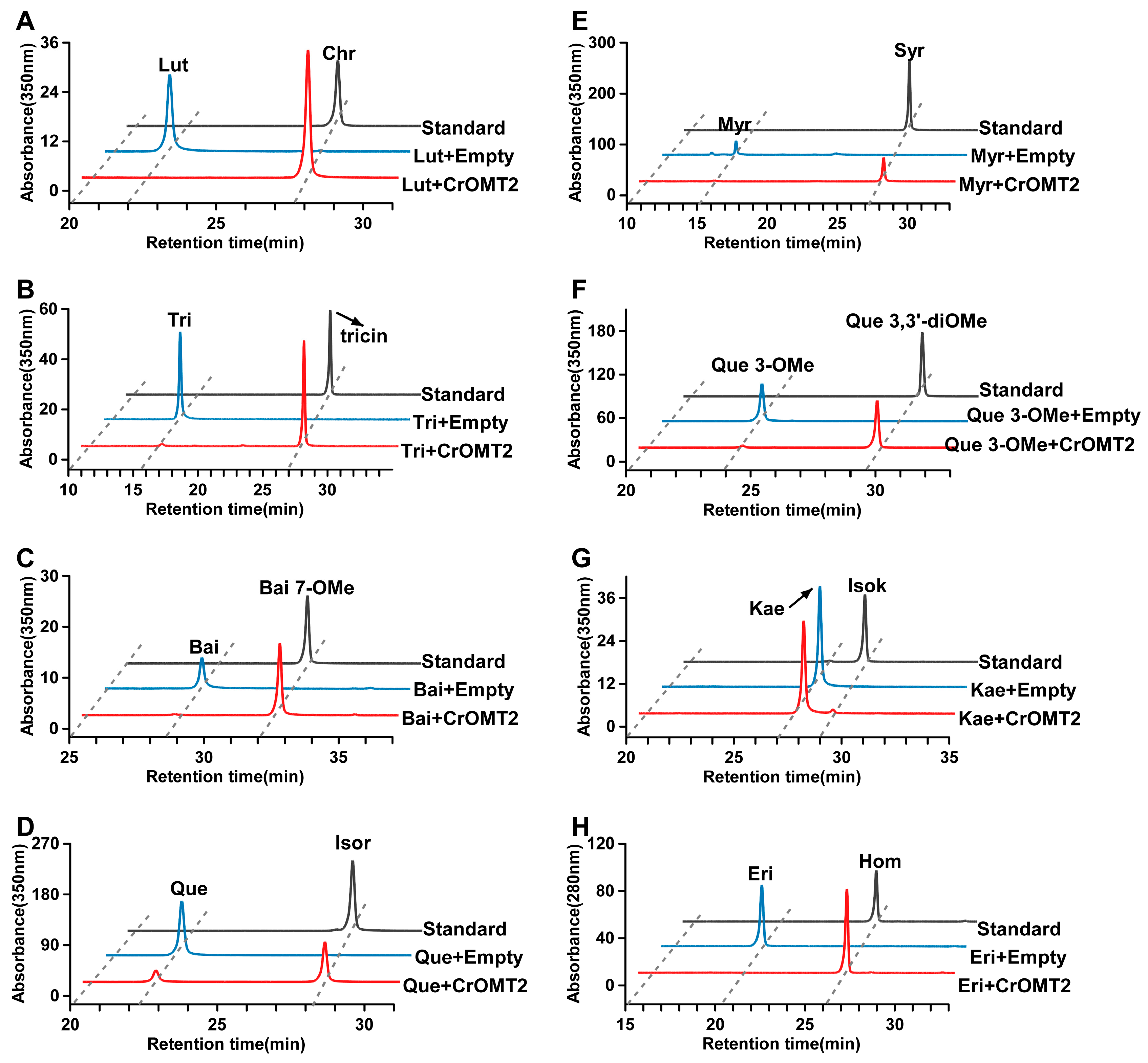 Molecules 25 00858 g003