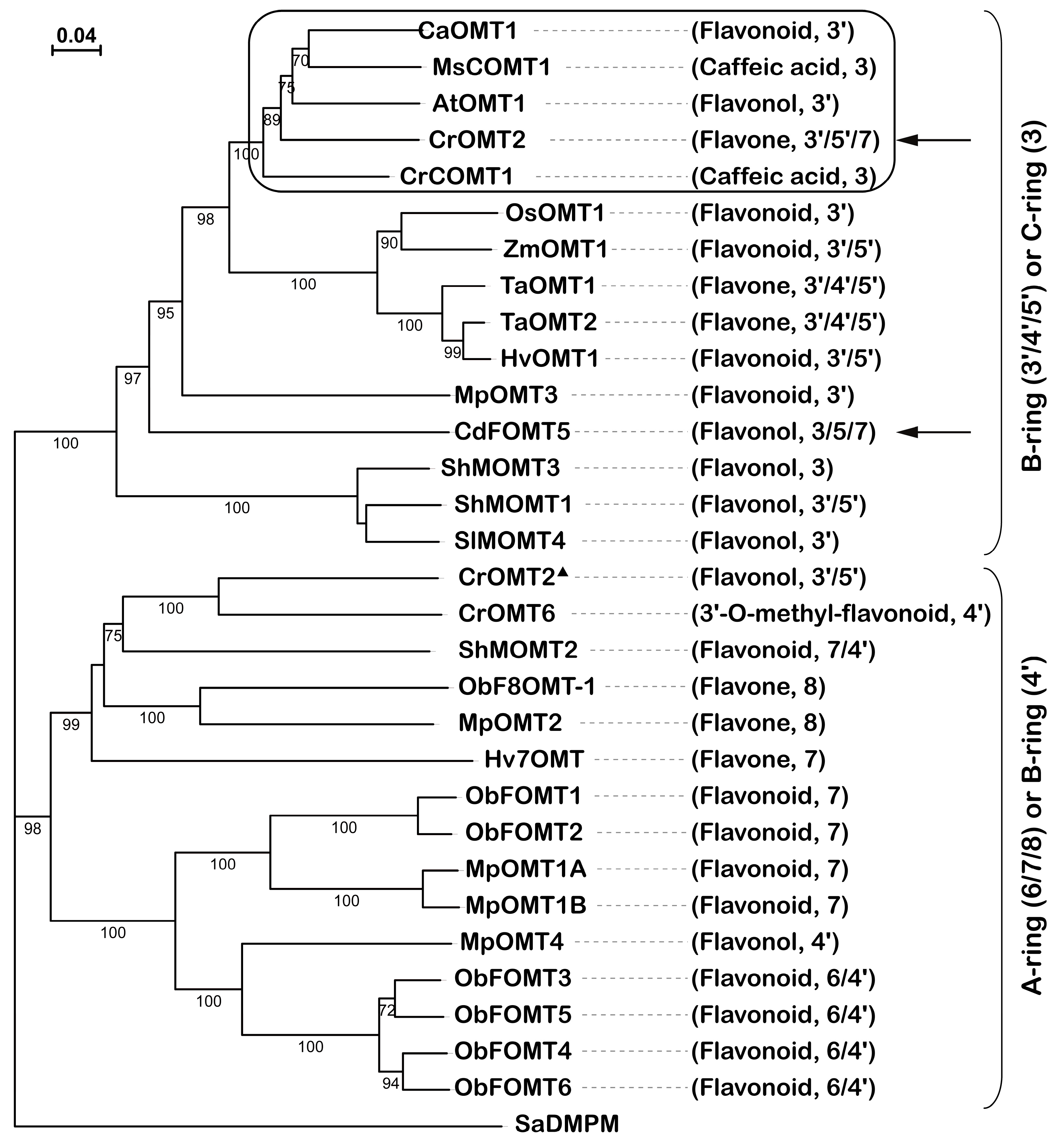 Molecules 25 00858 g005
