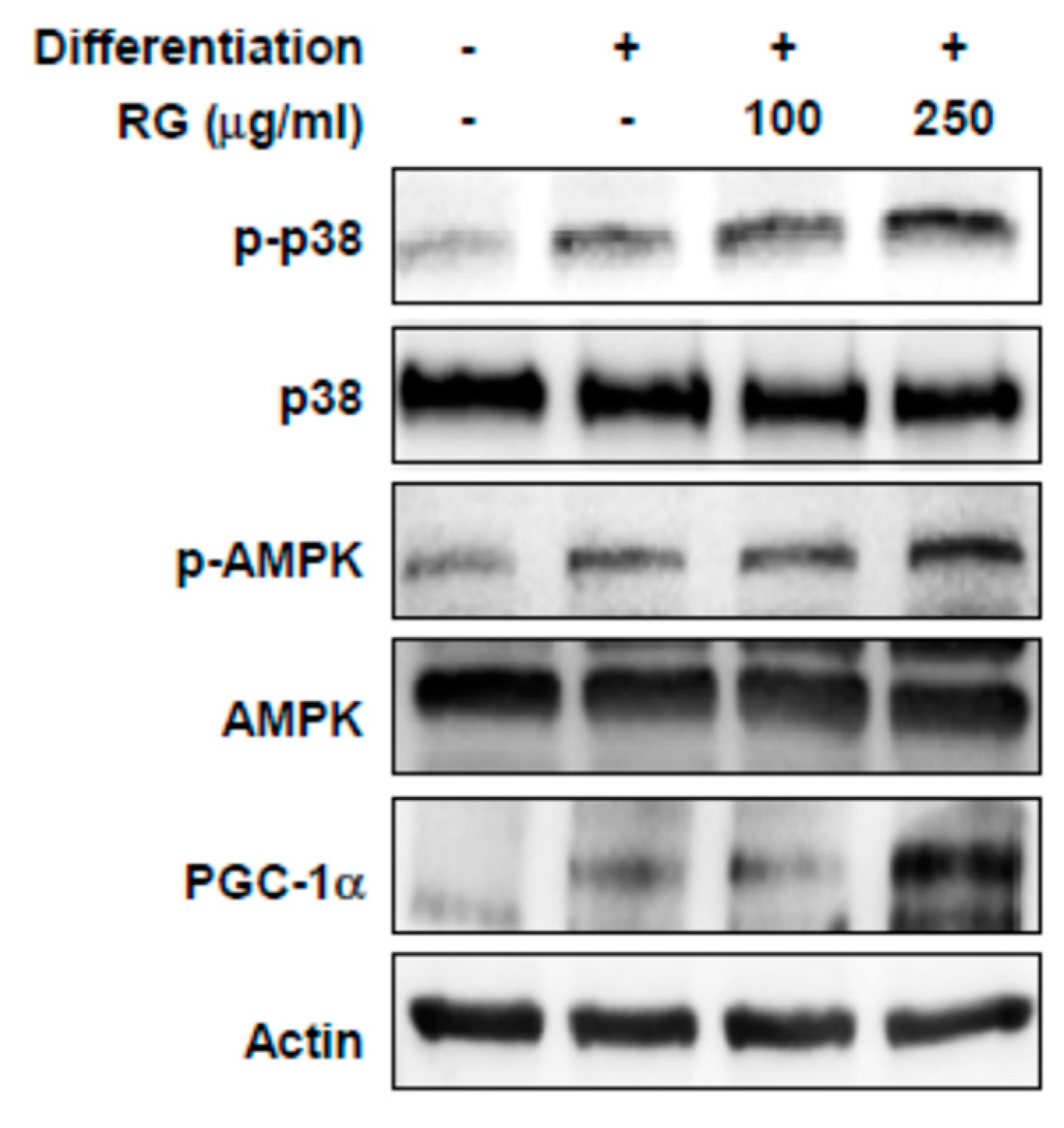 Molecules 25 00865 g004