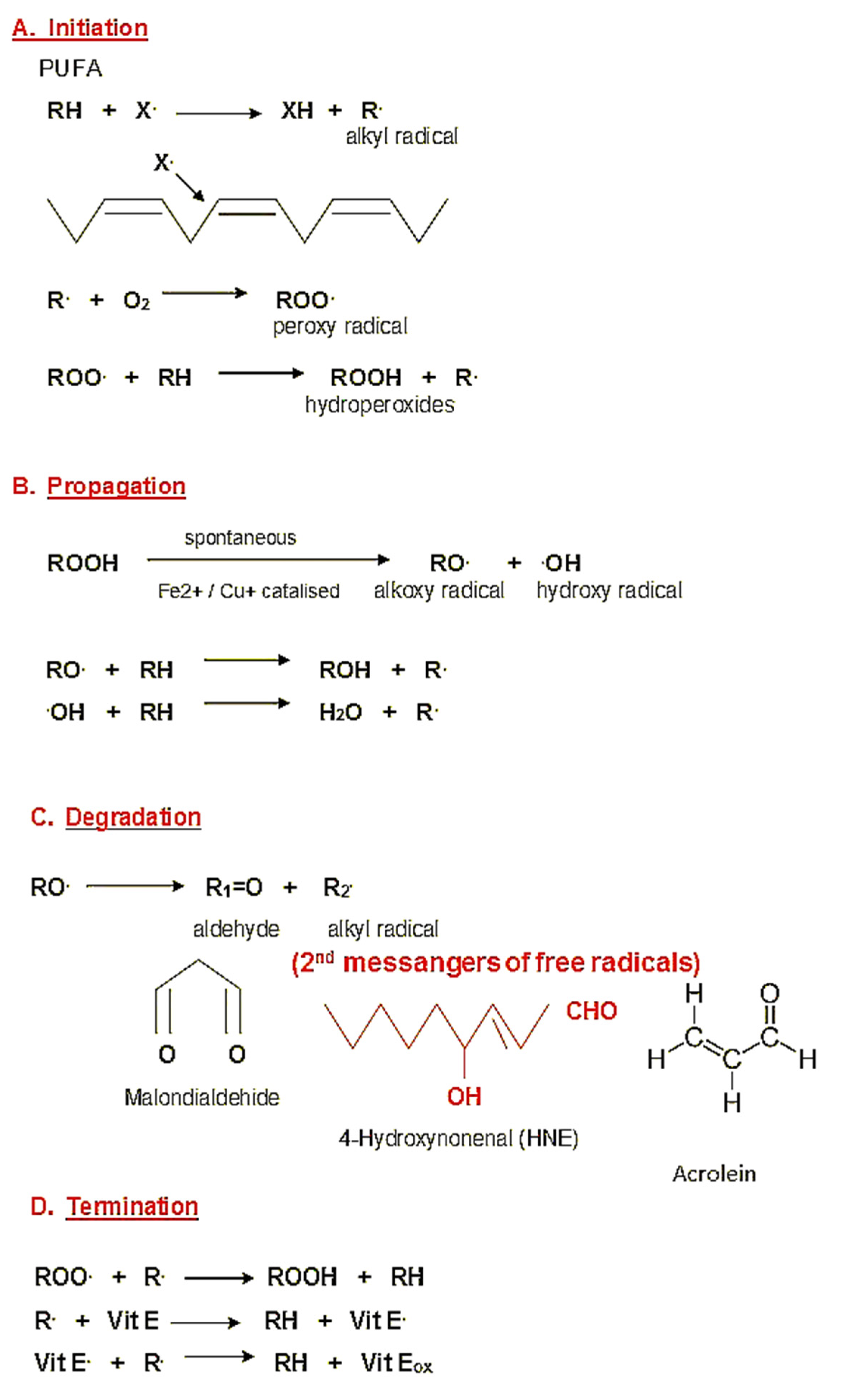 Molecules 25 00868 g001 Molecules 25 00868 g001