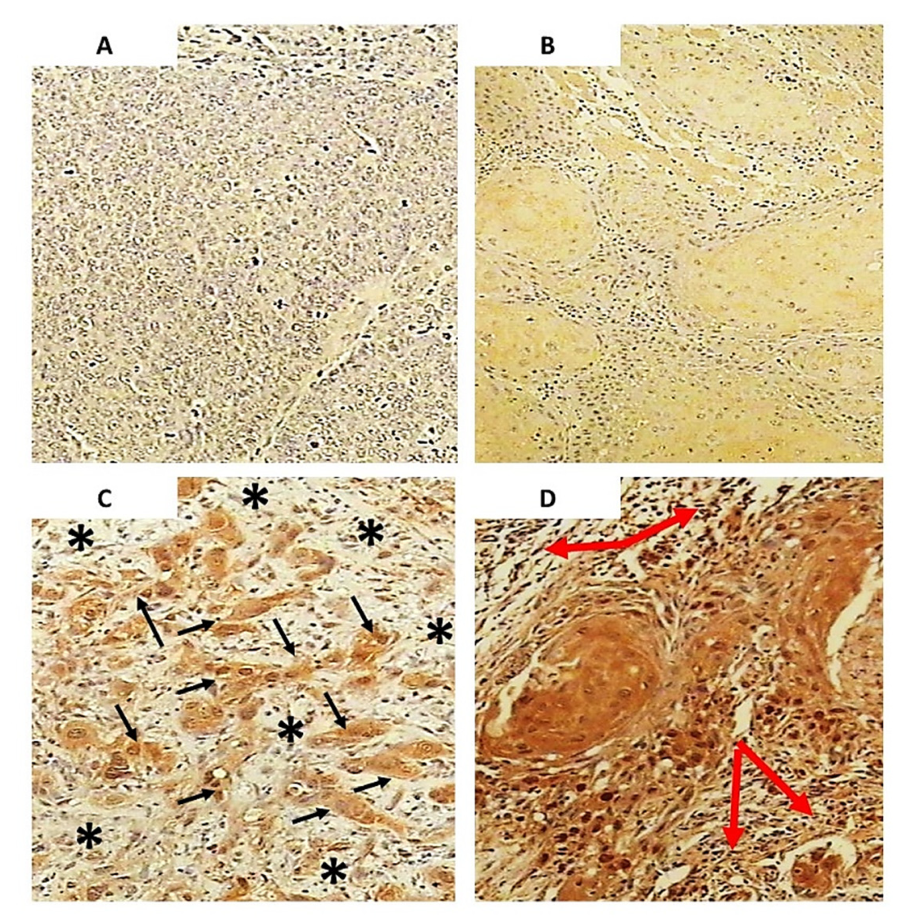 Molecules 25 00868 g002 Molecules 25 00868 g002