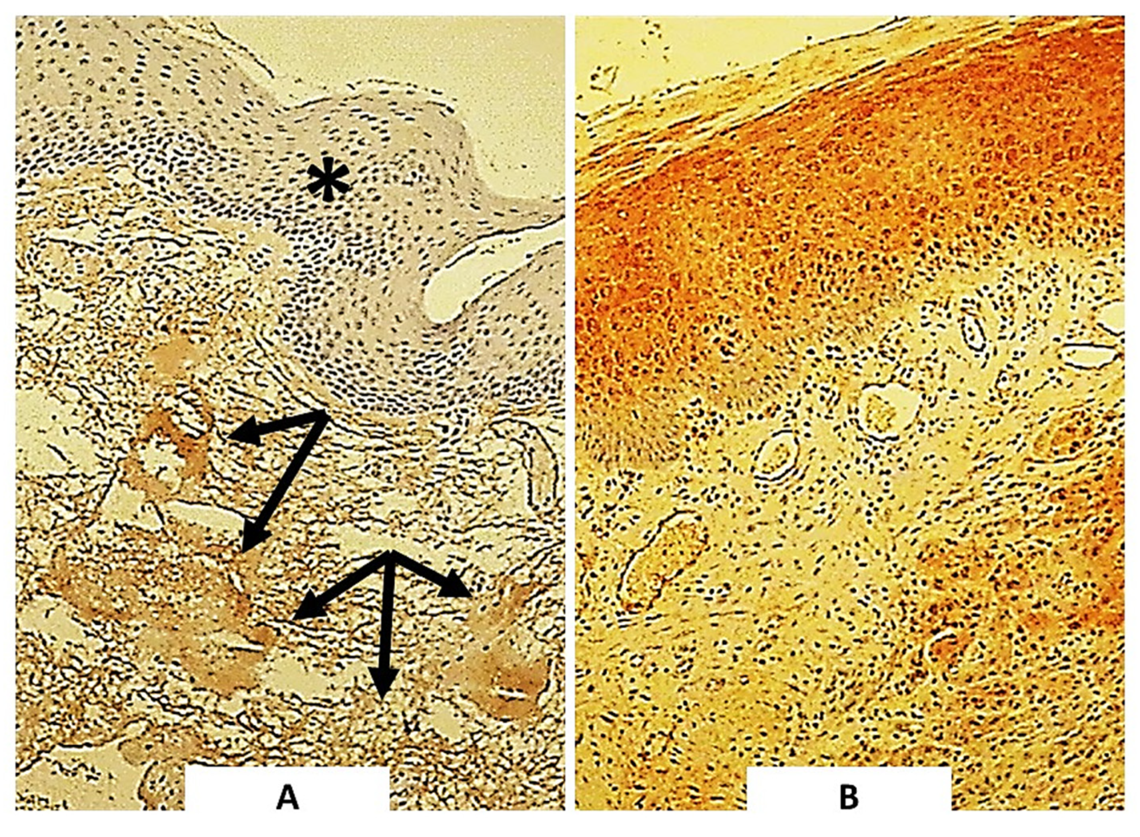 Molecules 25 00868 g003 Molecules 25 00868 g003