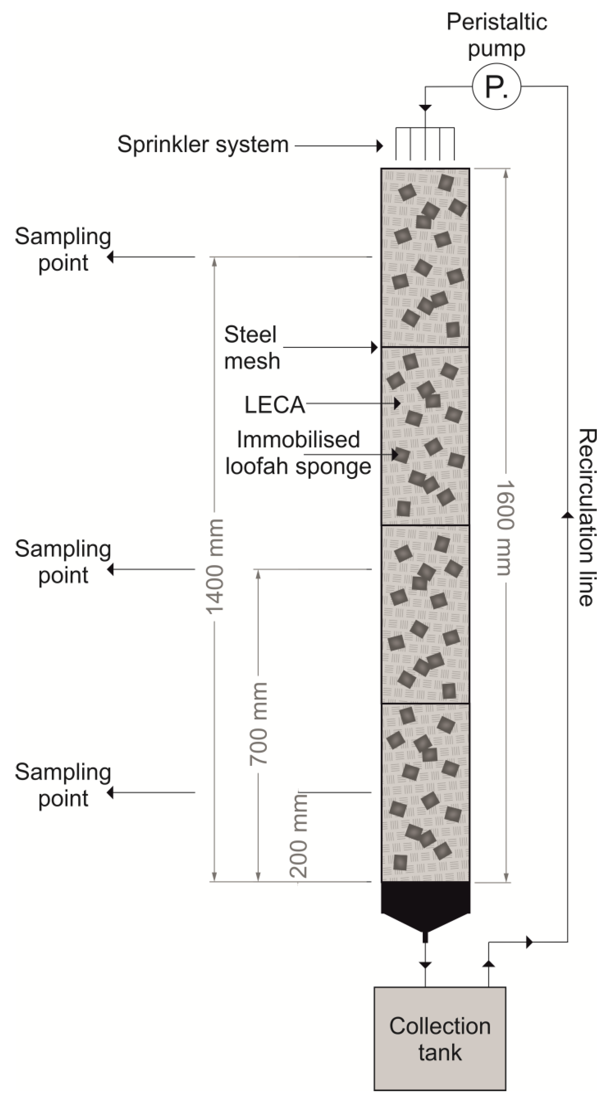 Molecules 25 00872 g004