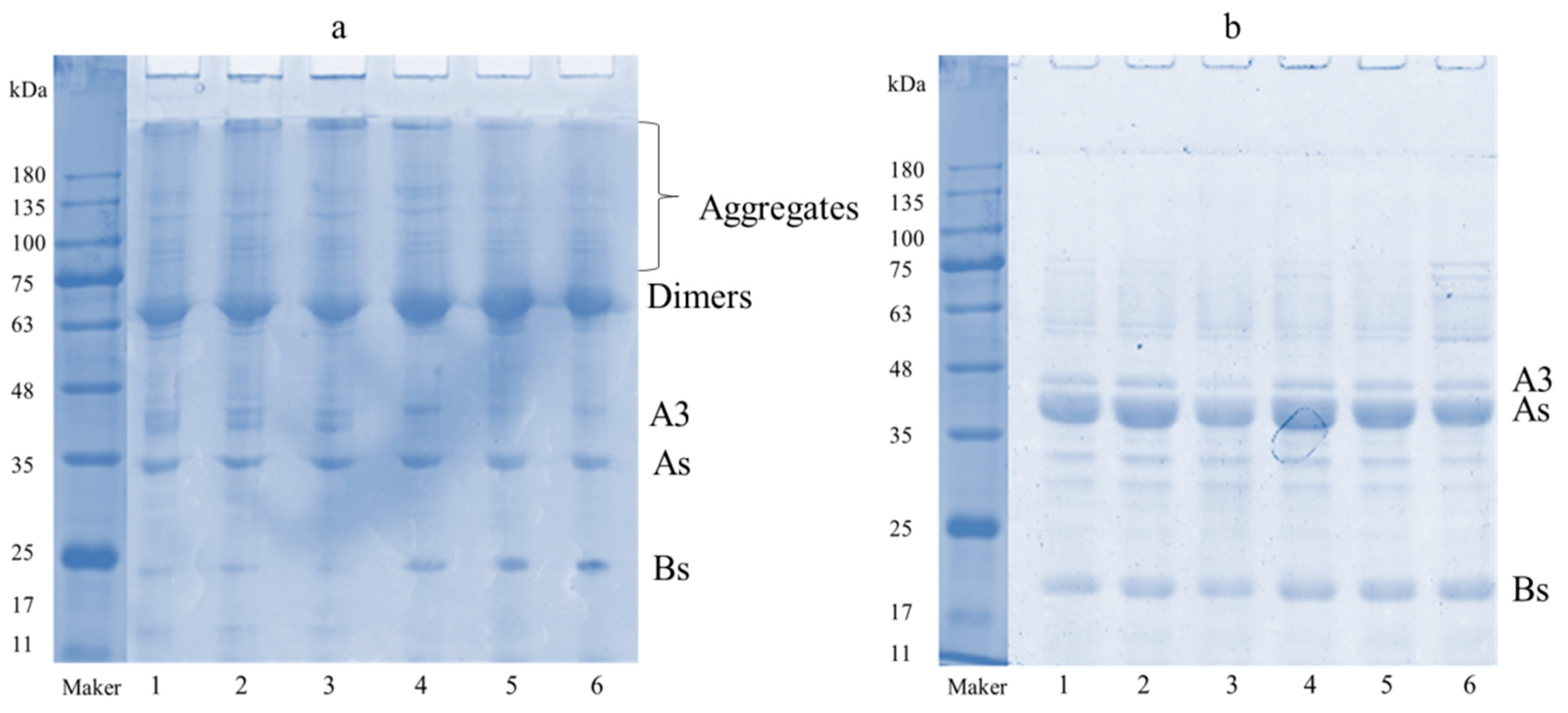 Molecules 25 00875 g001 Molecules 25 00875 g001