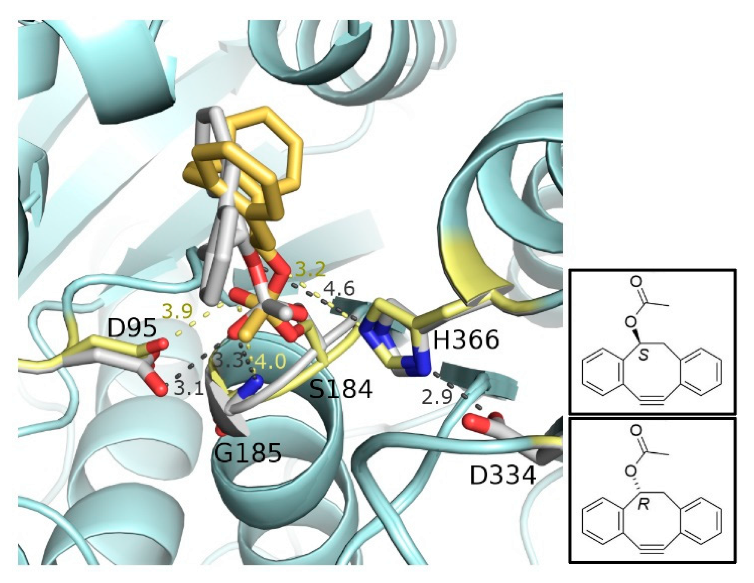 Molecules 25 00879 g001 Molecules 25 00879 g001