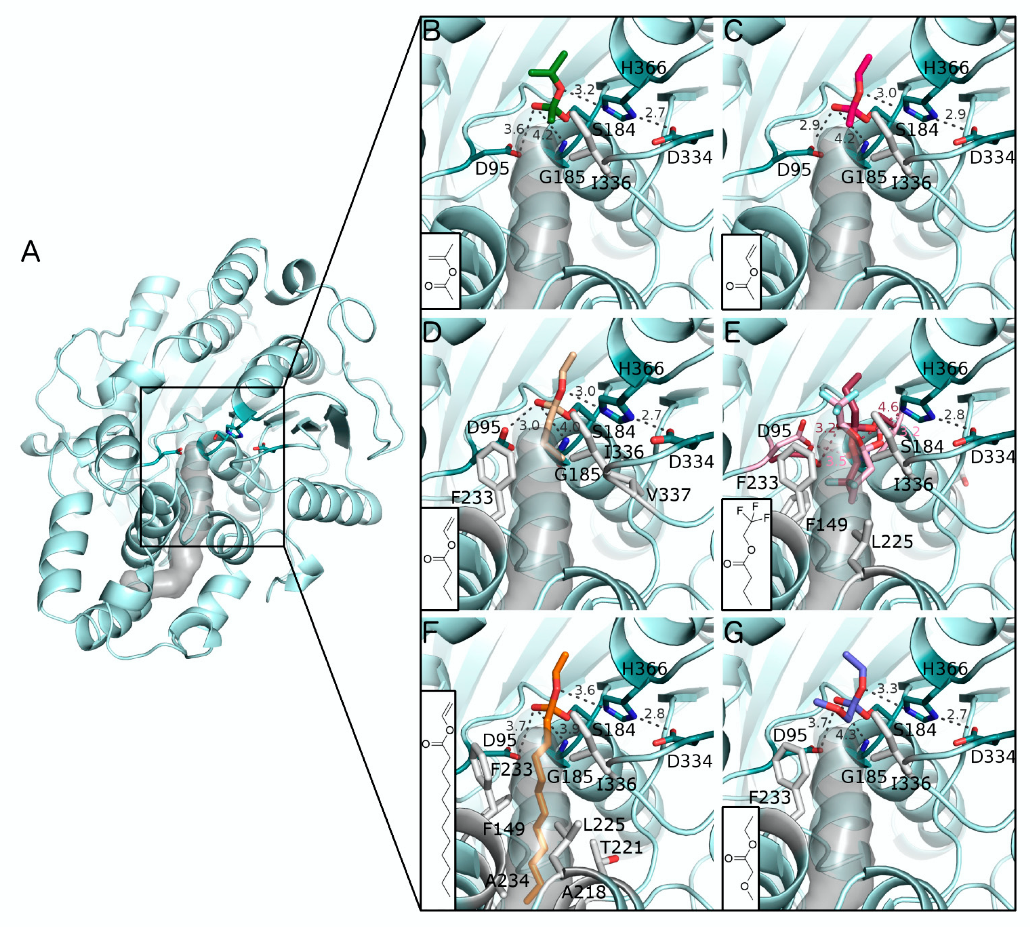 Molecules 25 00879 g002 Molecules 25 00879 g002