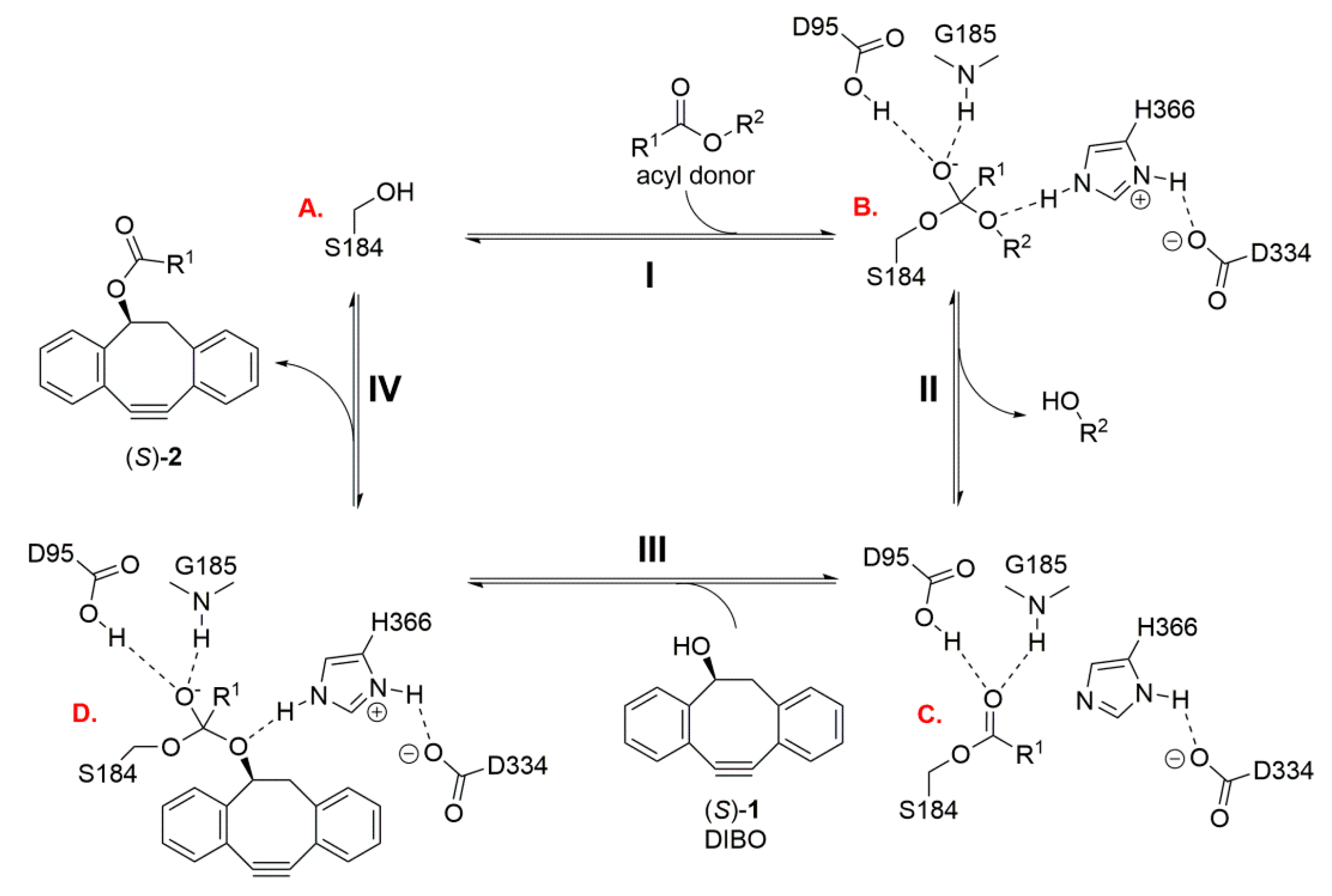 Molecules 25 00879 sch002 Molecules 25 00879 sch002