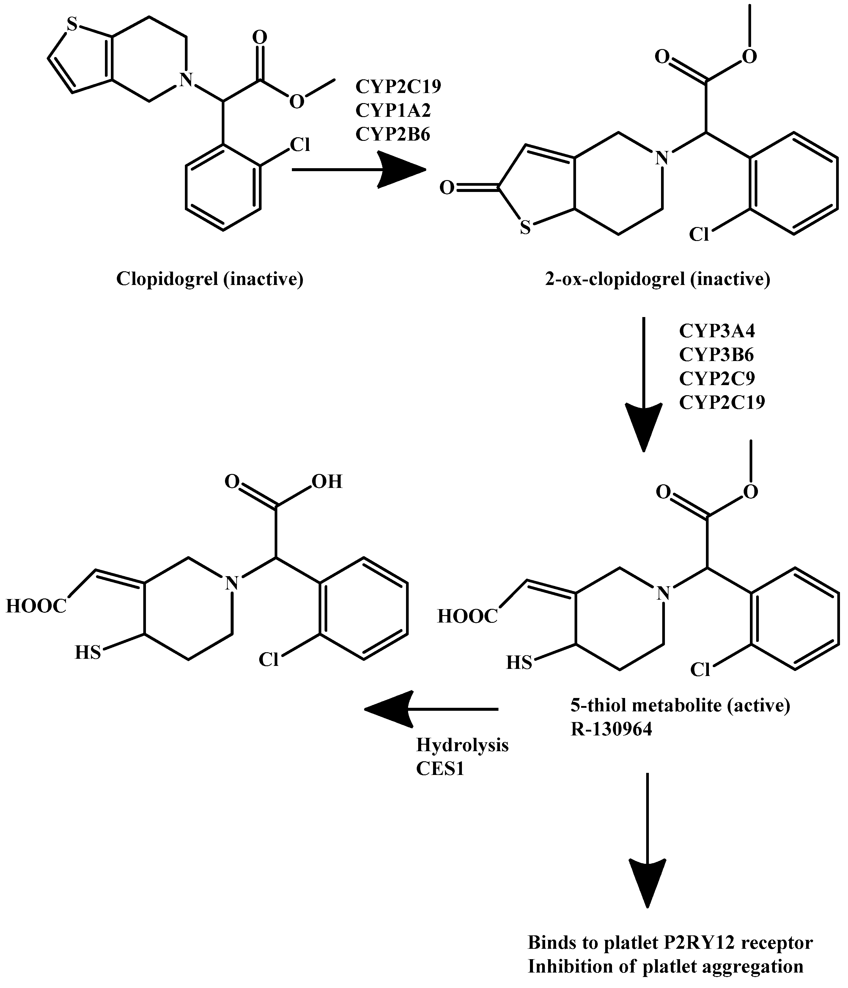 Molecules 25 00884 sch001