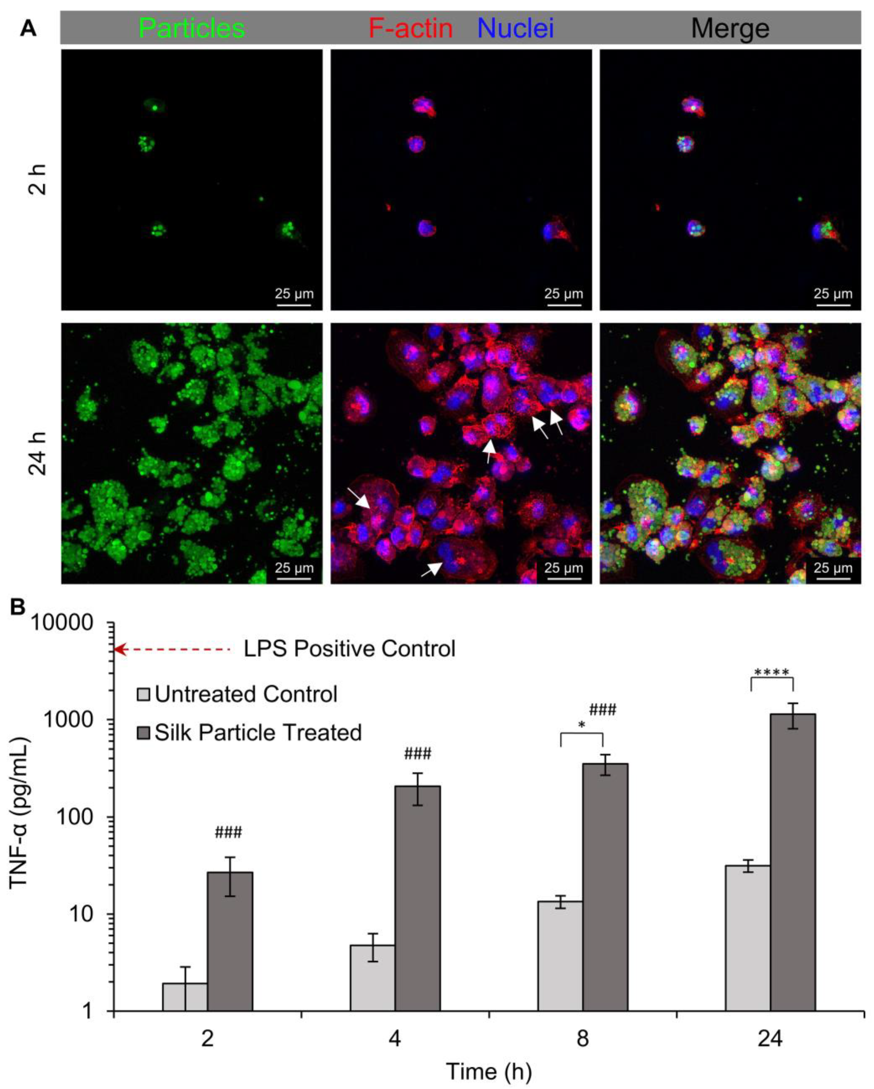Molecules 25 00890 g008 Molecules 25 00890 g008