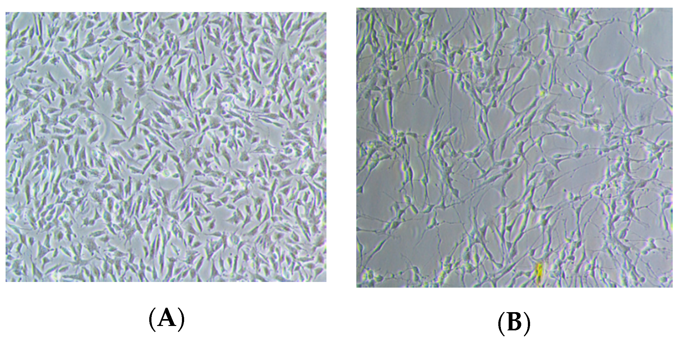 Molecules 25 00892 g011