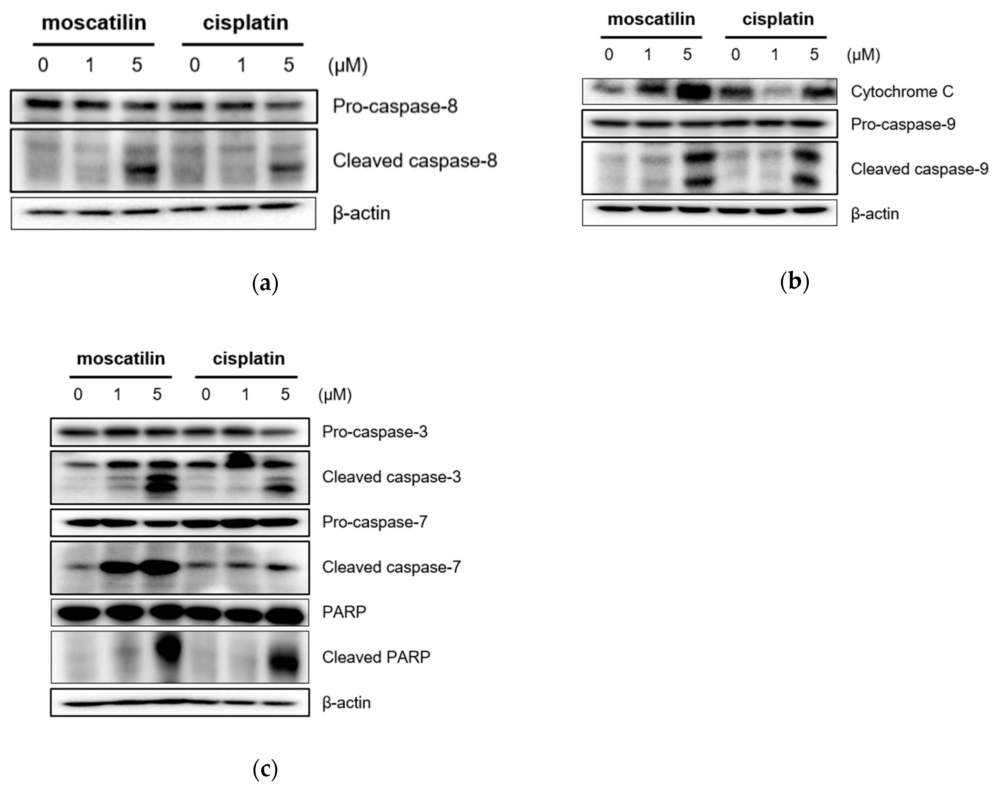 Molecules 25 00901 g003