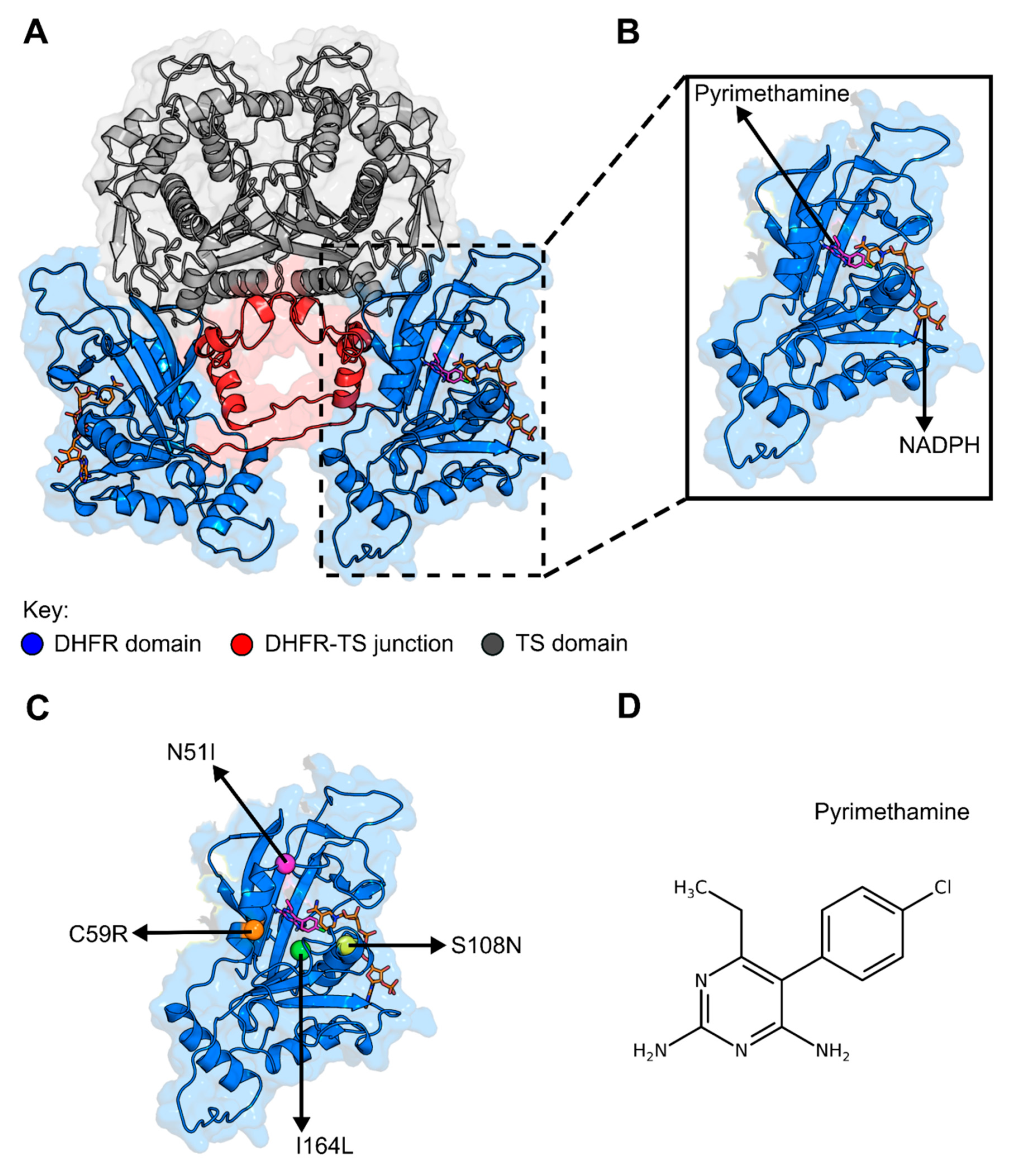 Molecules 25 00904 g001