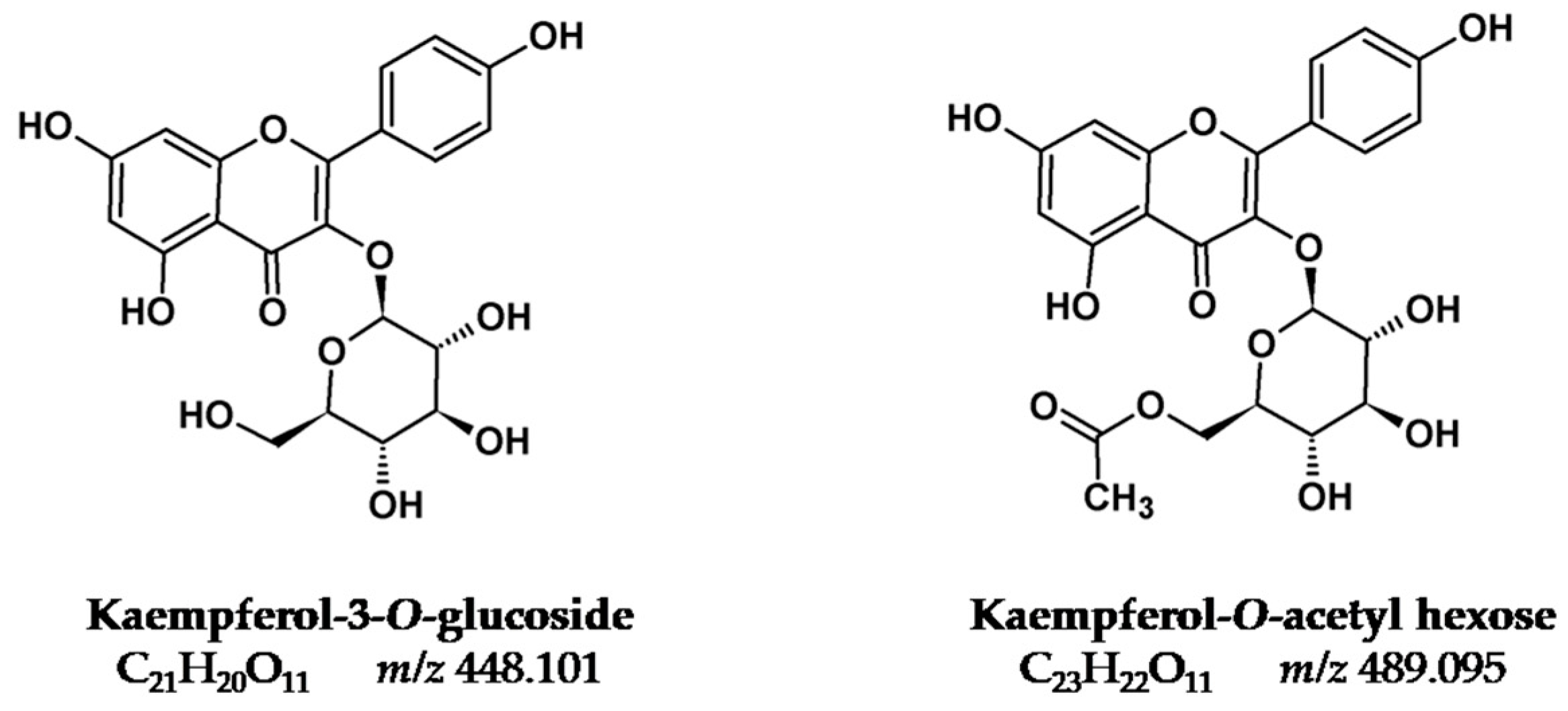 Molecules 25 00908 g003 Molecules 25 00908 g003