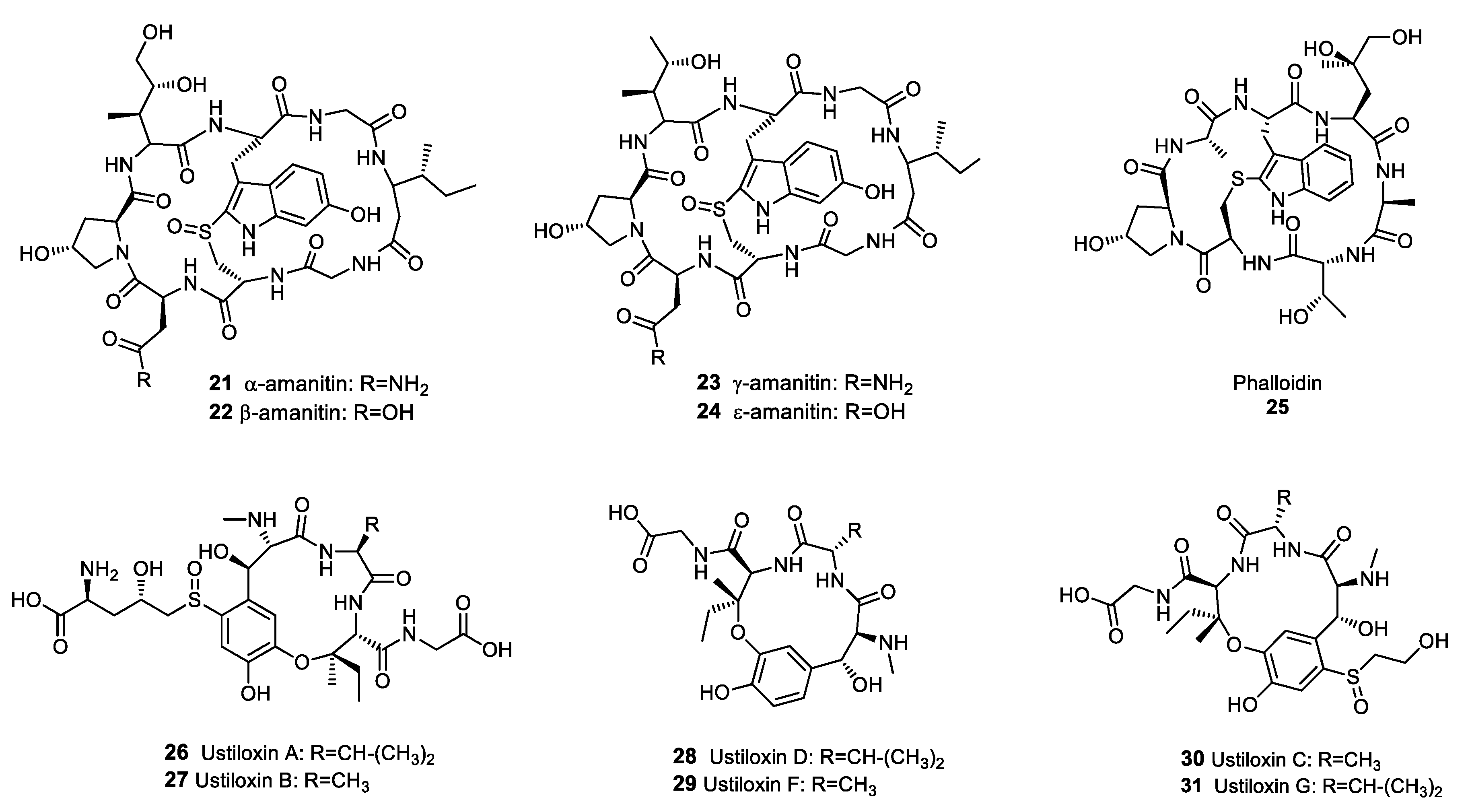 Molecules 25 00911 g003 Molecules 25 00911 g003