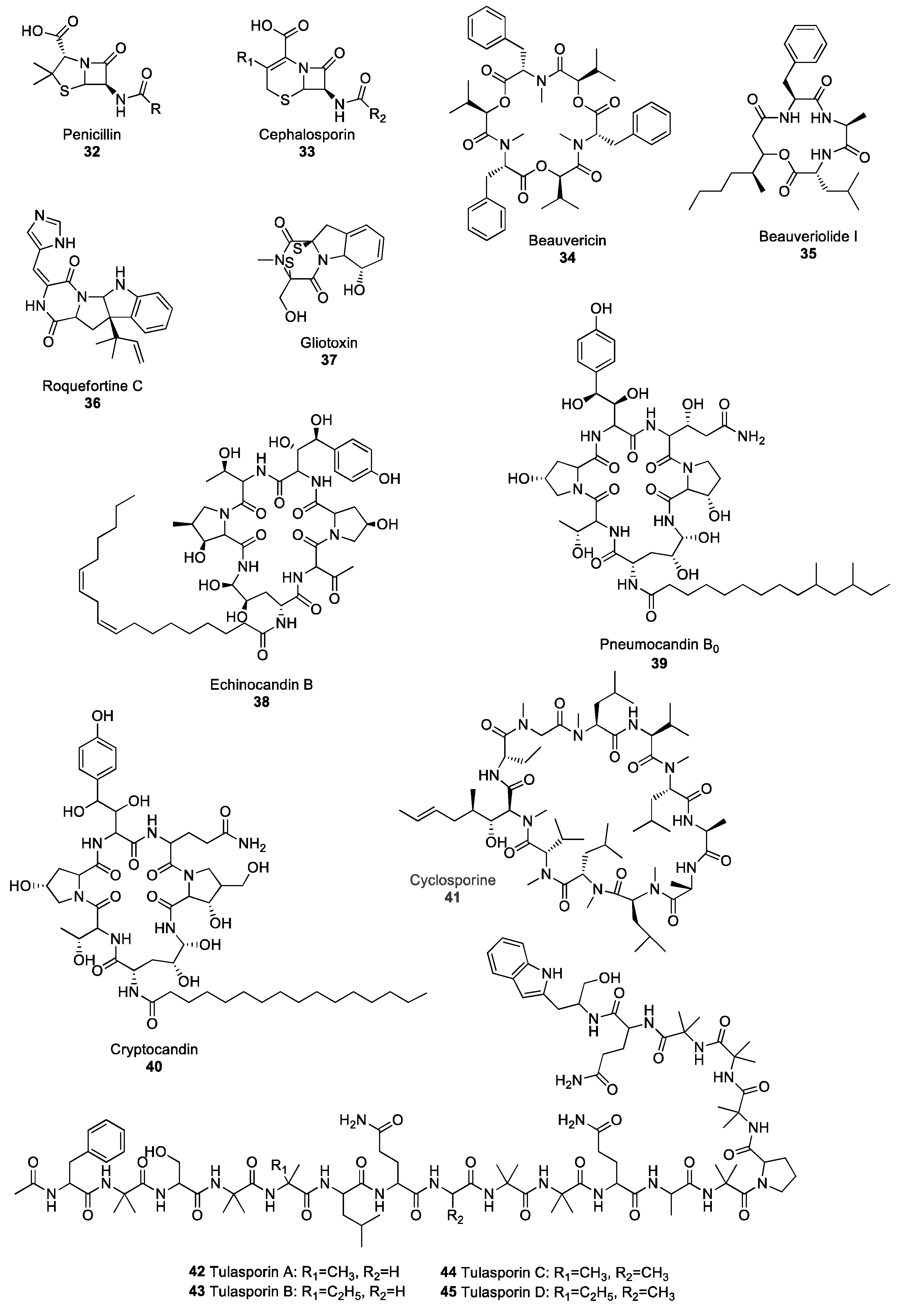 Molecules 25 00911 g004 Molecules 25 00911 g004