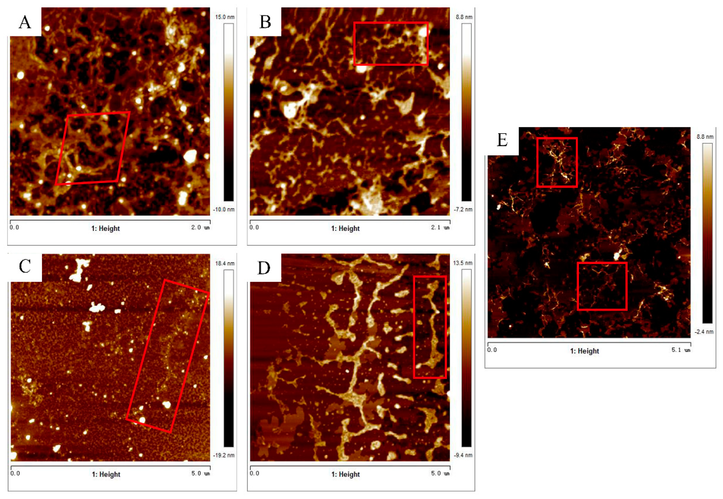 Molecules 25 00936 g003 Molecules 25 00936 g003