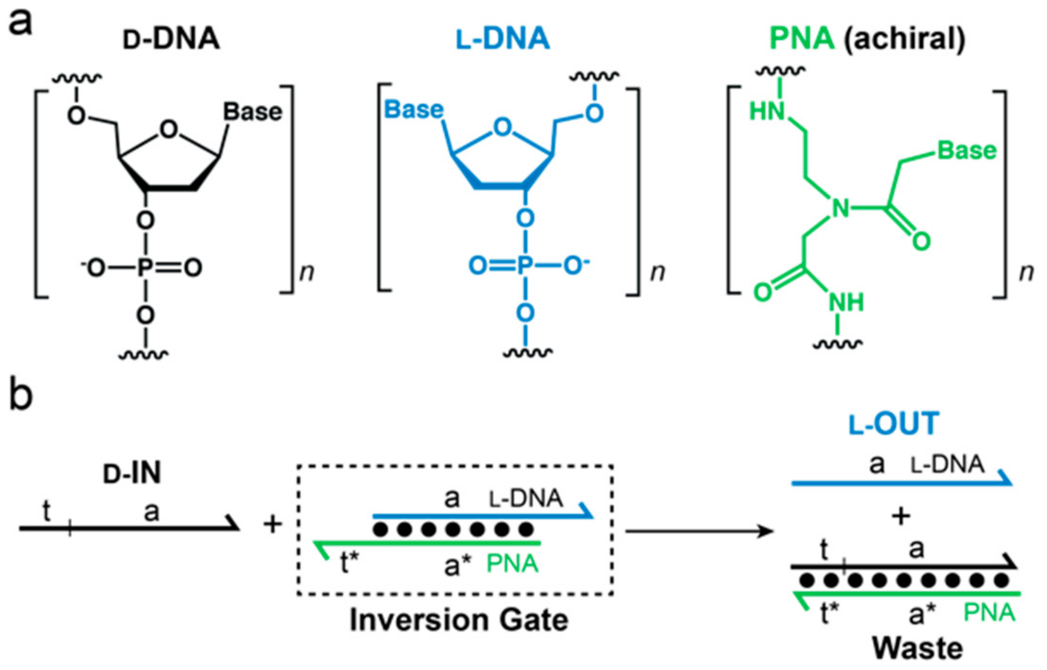 Molecules 25 00947 g001