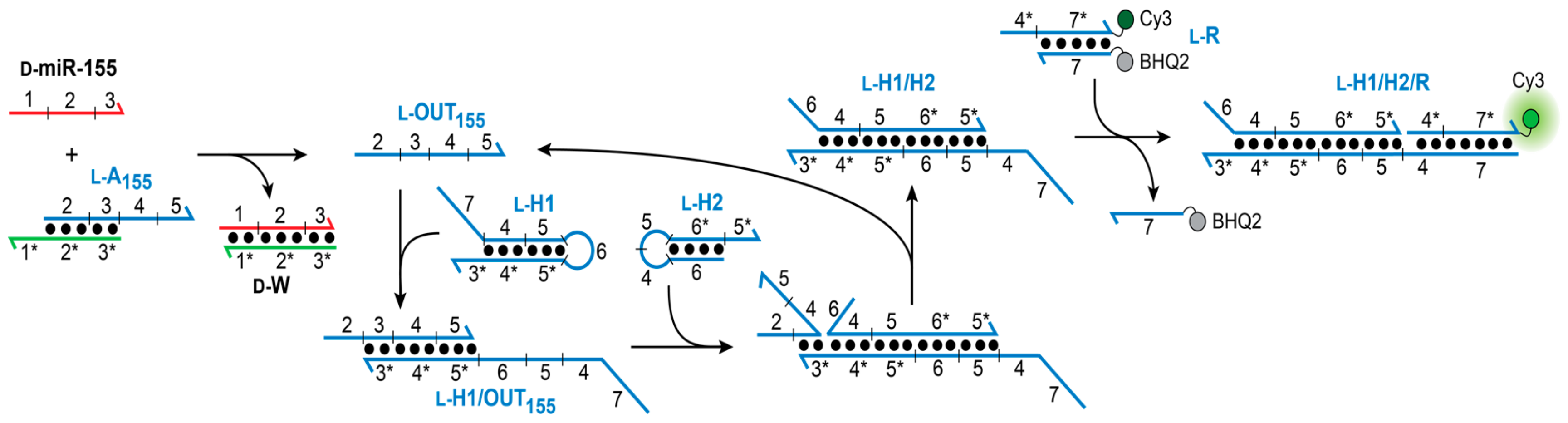Molecules 25 00947 g002