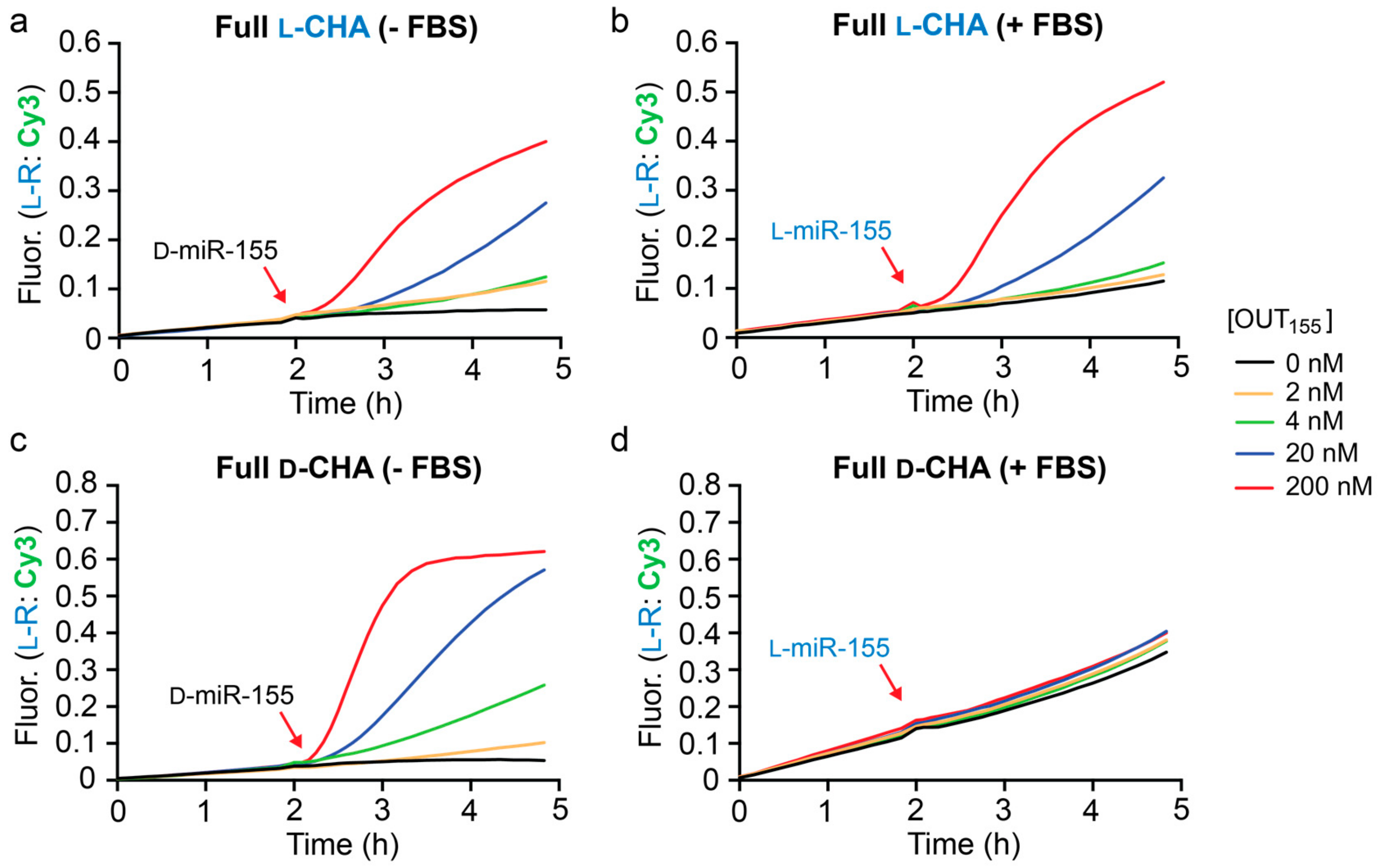 Molecules 25 00947 g004