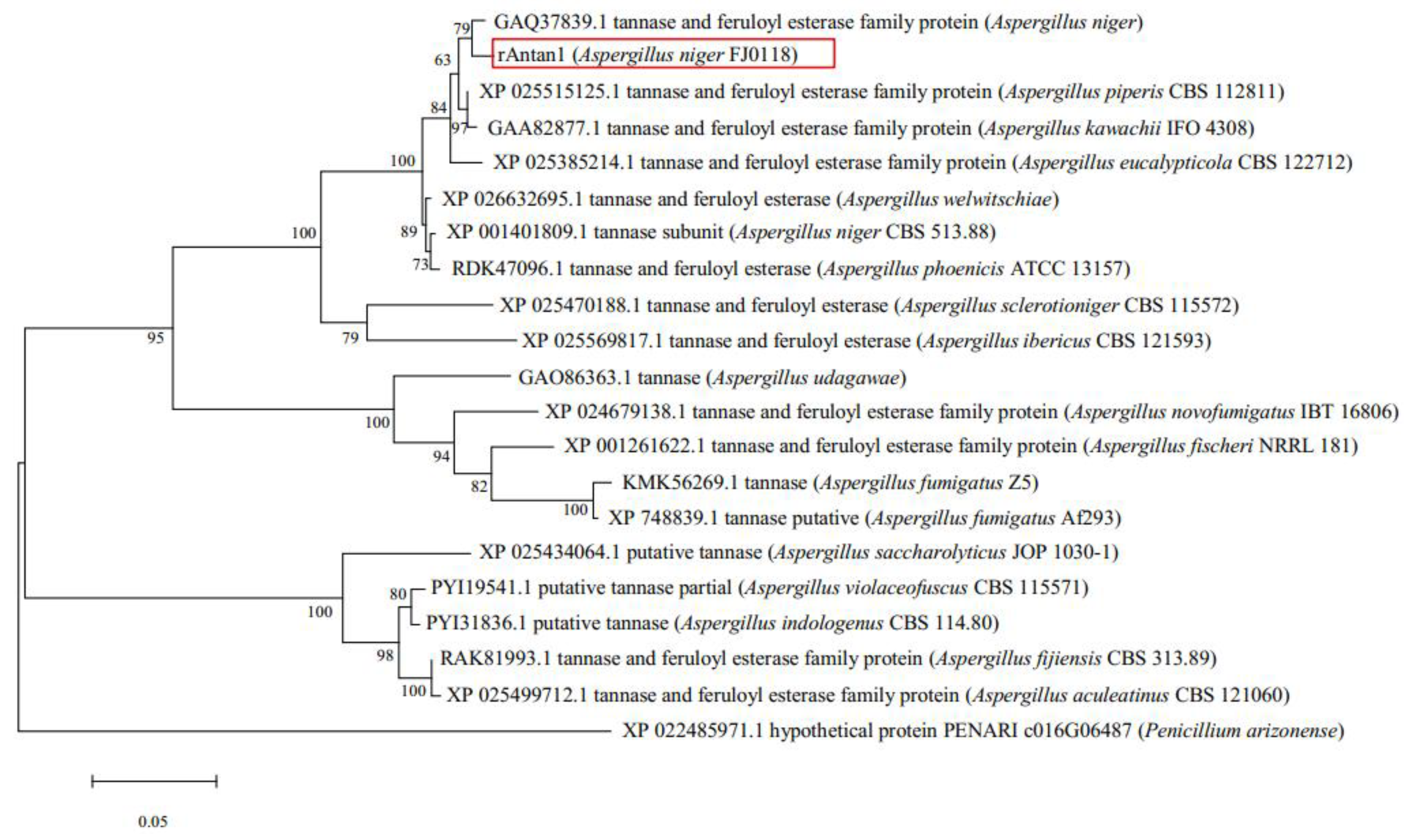 Molecules 25 00952 g001 Molecules 25 00952 g001
