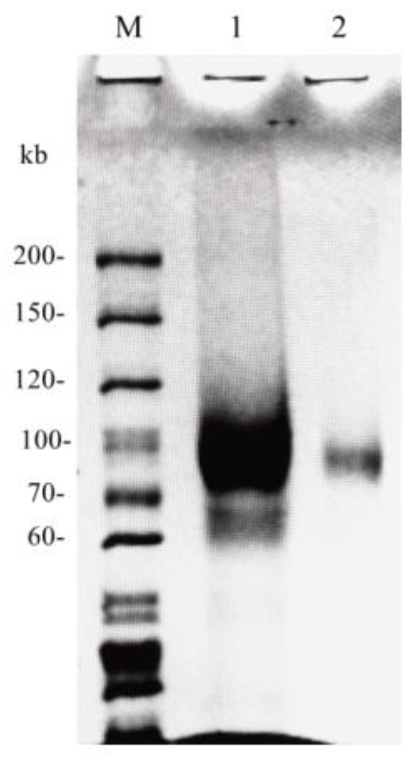Molecules 25 00952 g003 Molecules 25 00952 g003