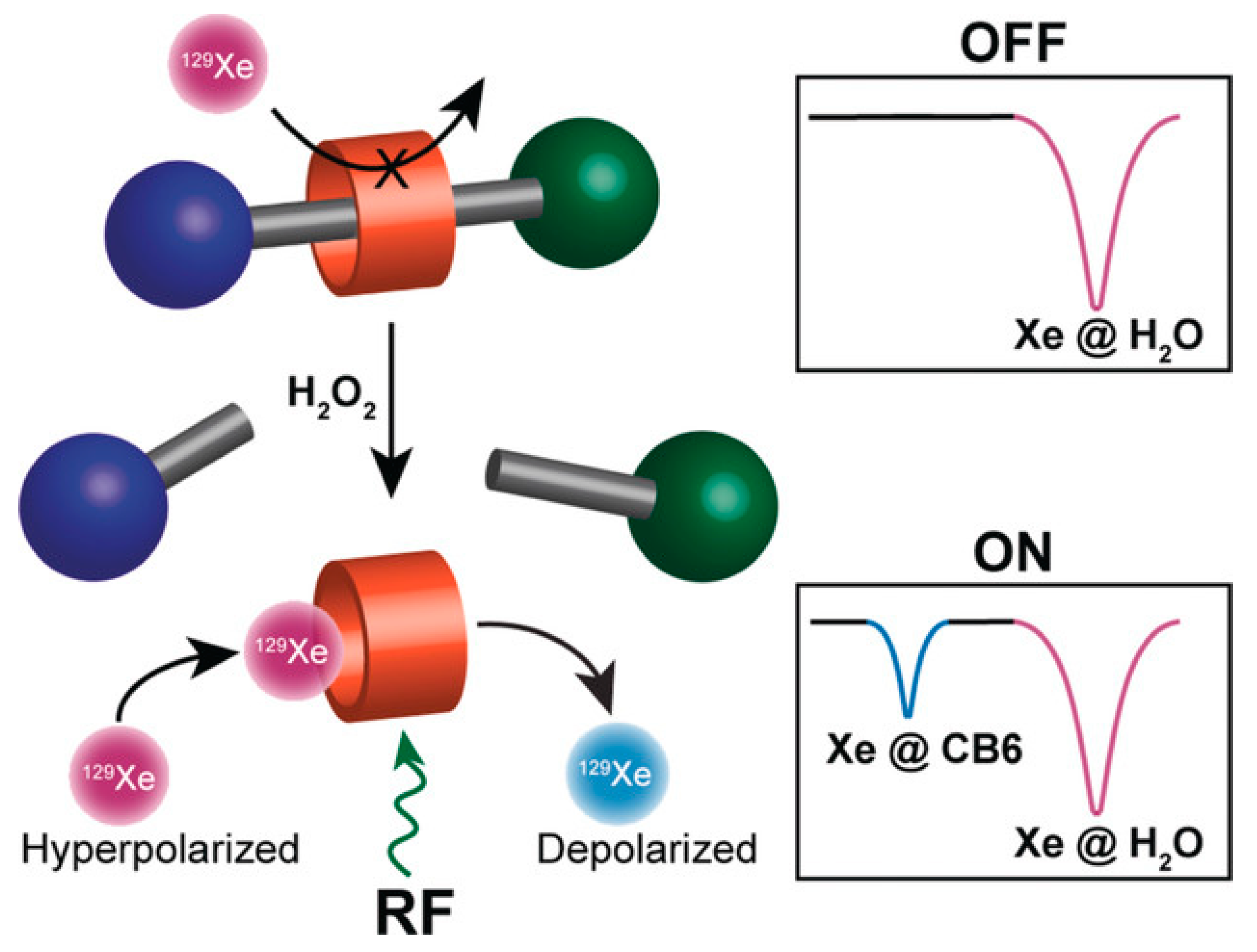 Molecules 25 00957 g010