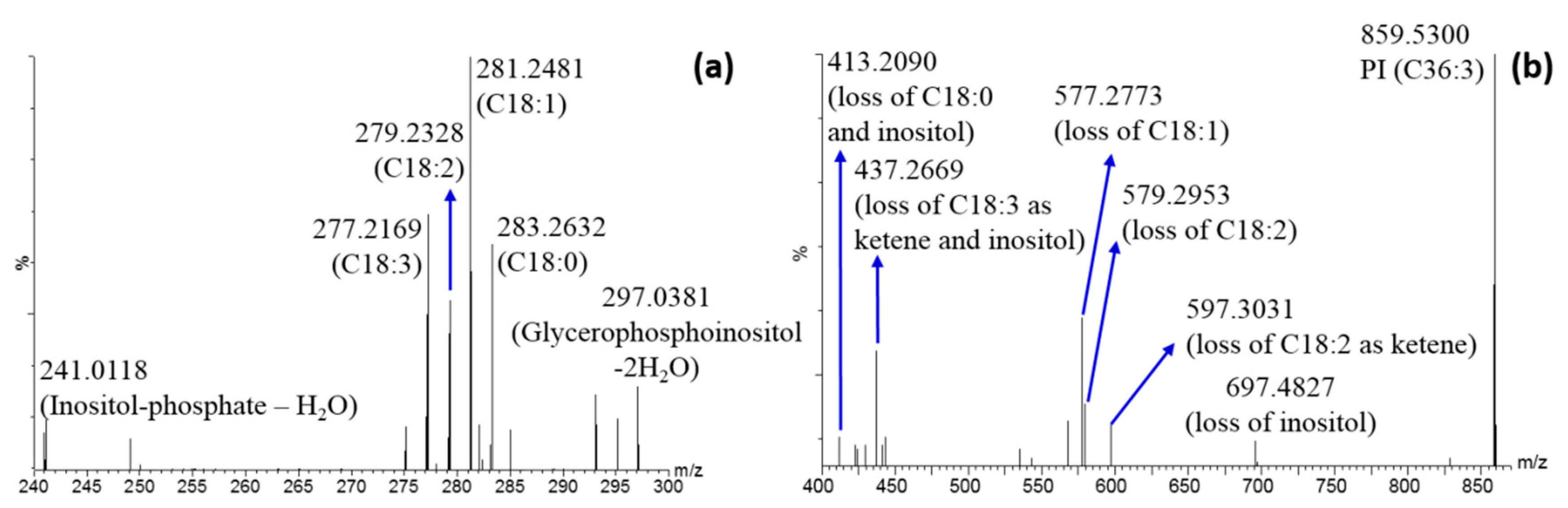 Molecules 25 00962 g005 Molecules 25 00962 g005