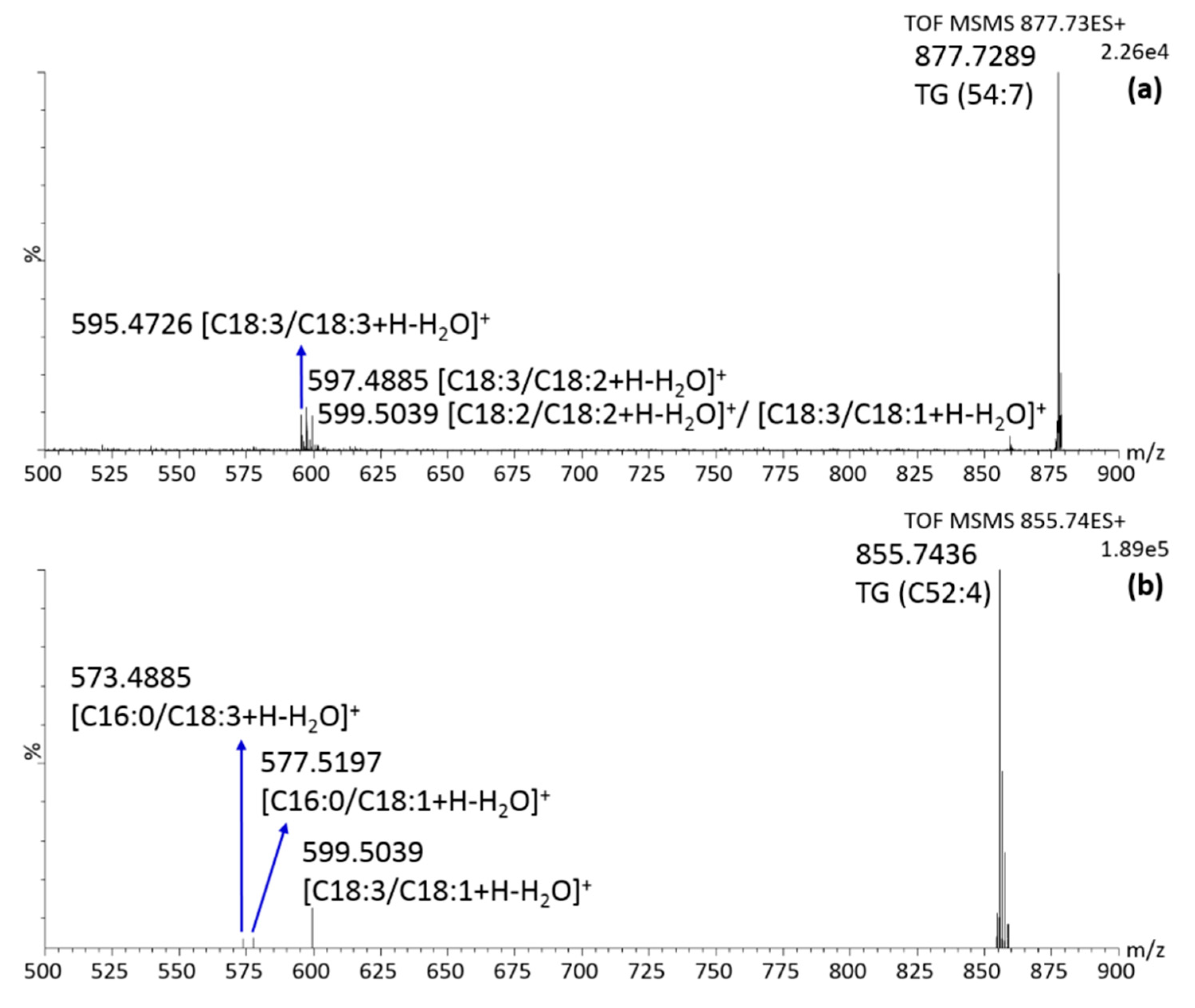 Molecules 25 00962 g006 Molecules 25 00962 g006