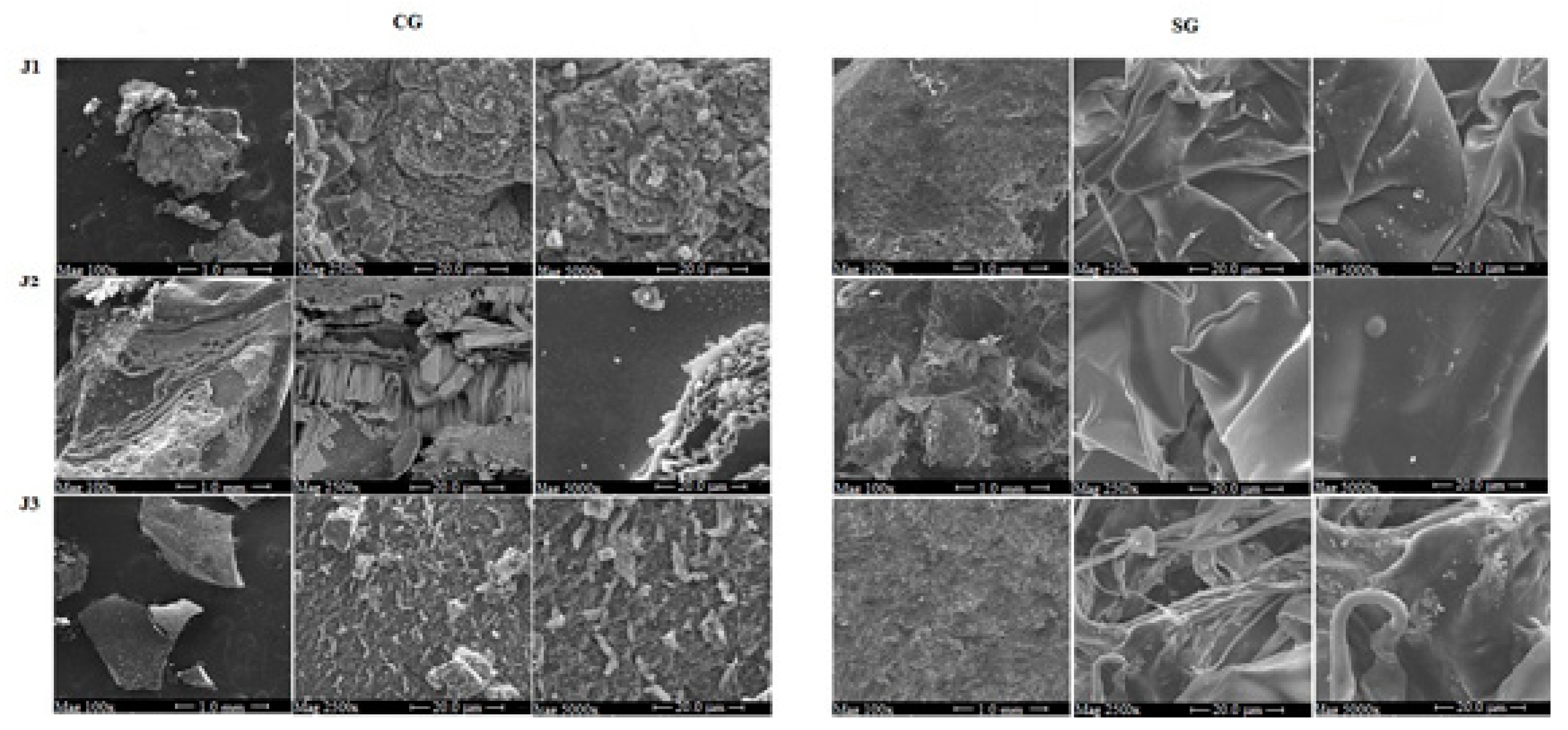 Molecules 25 00968 g005 Molecules 25 00968 g005