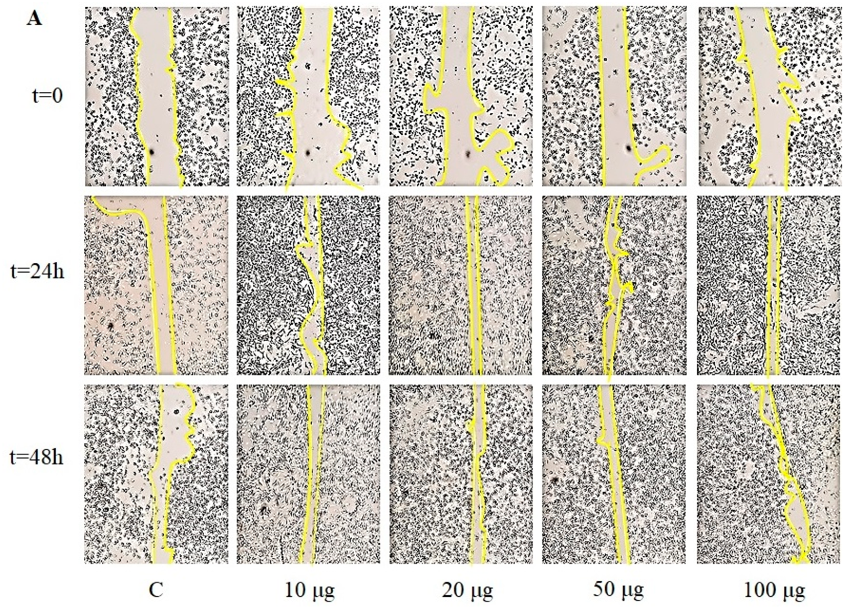 Molecules 25 00968 g008a Molecules 25 00968 g008a