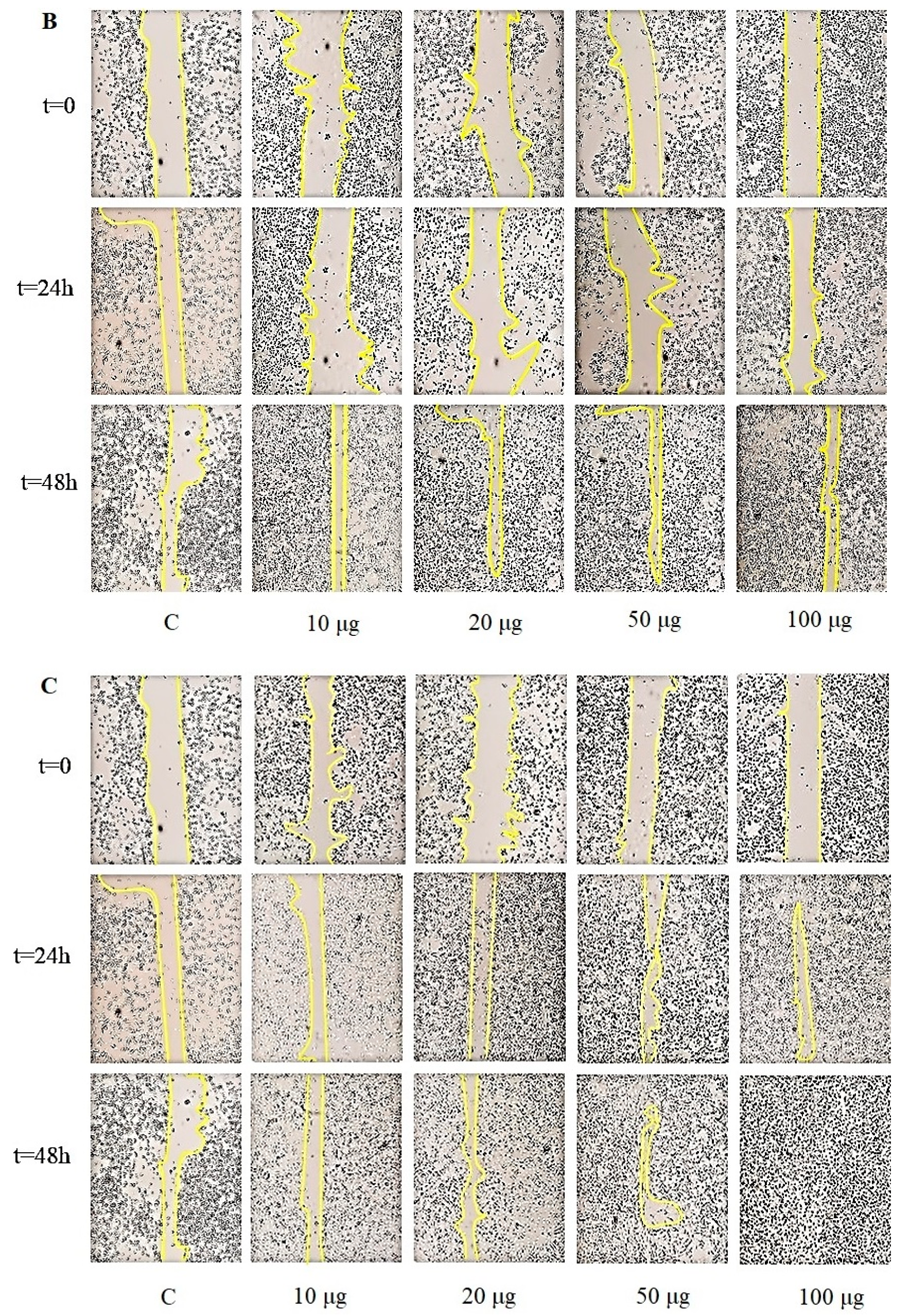 Molecules 25 00968 g008b Molecules 25 00968 g008b